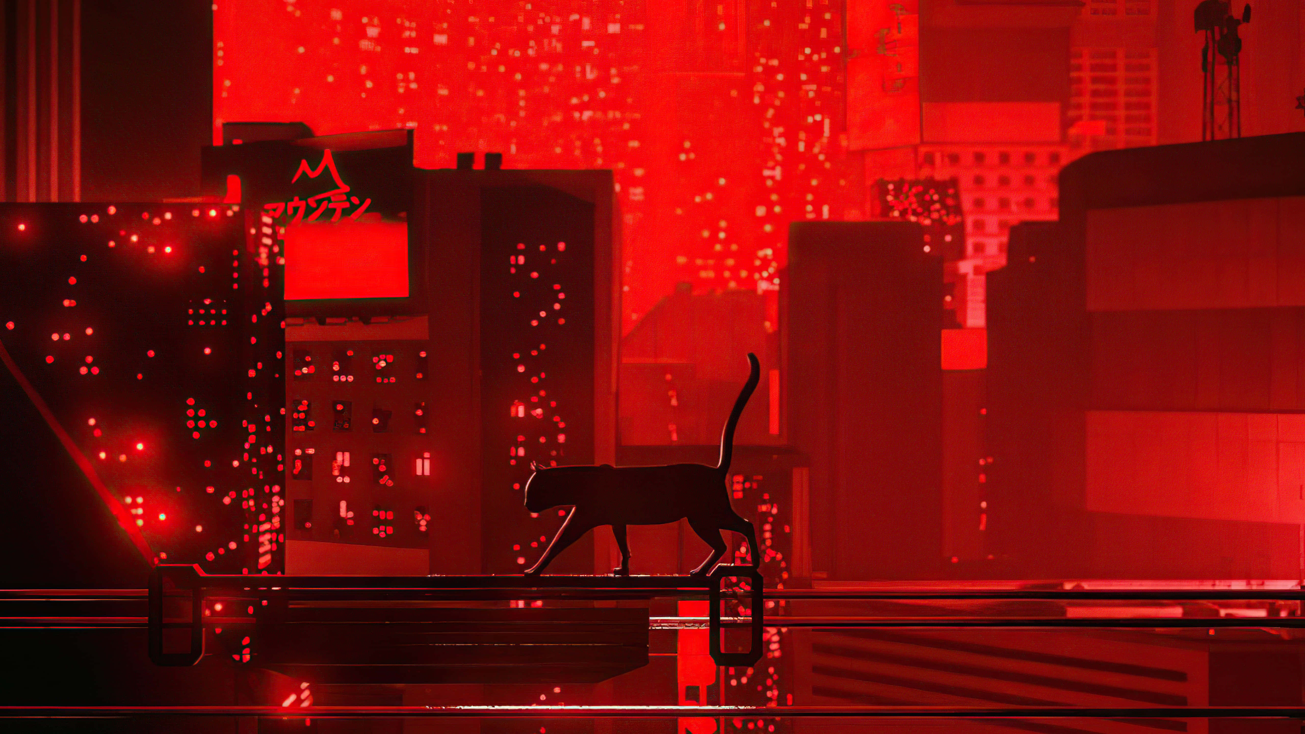 red aesthetic anime laptop, 5120 x 2880, black cat, 5K Desktop Wallpaper
