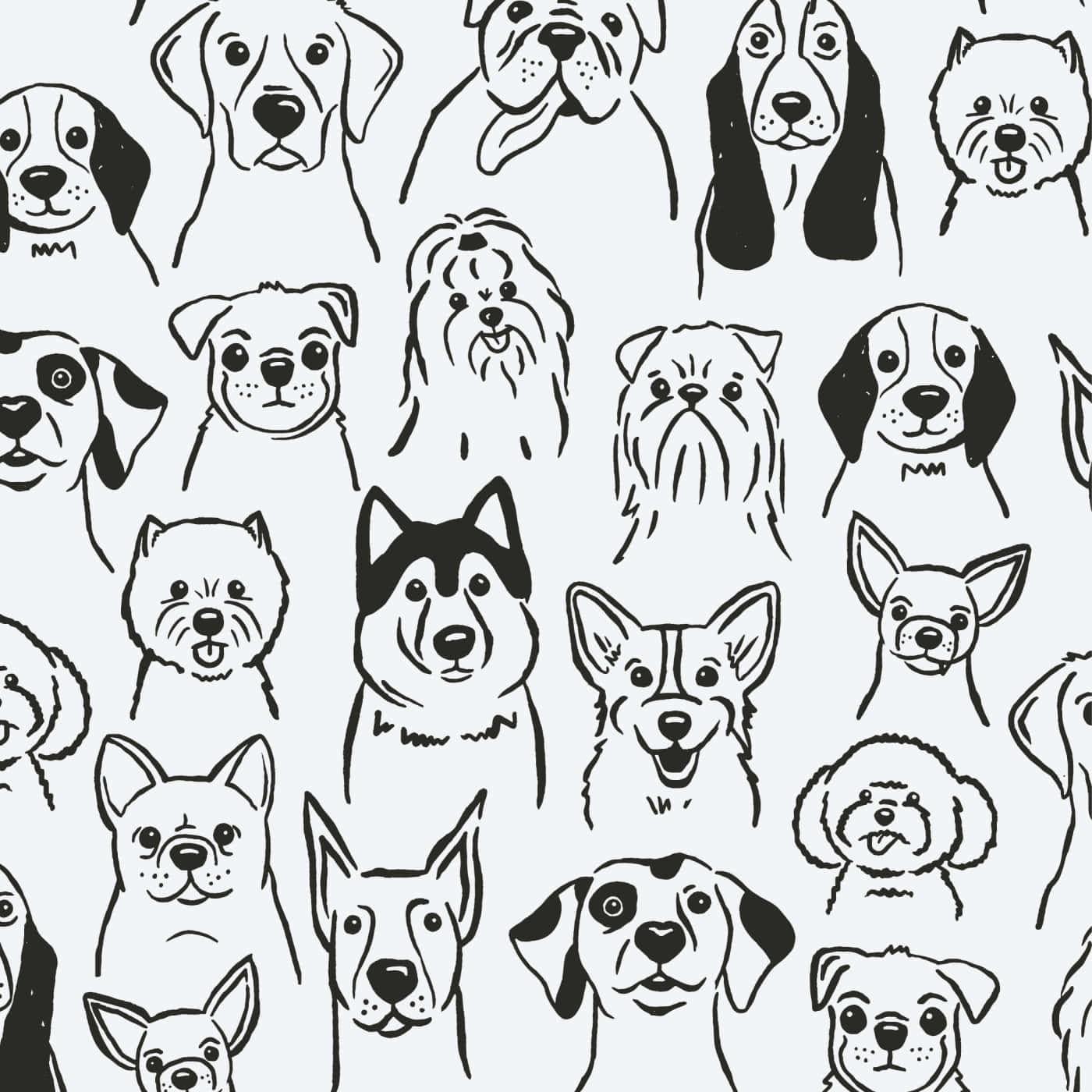 aesthetic dogs, cuddly pup, diverse dog breeds, HD Desktop Wallpaper