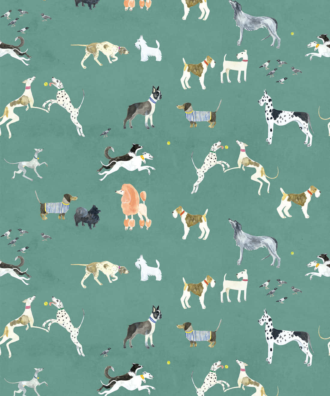 aesthetic dogs, cartoon aesthetic dogs, teal background, HD Phone Wallpaper