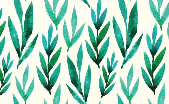 teal, green, cream, SD Desktop Wallpaper