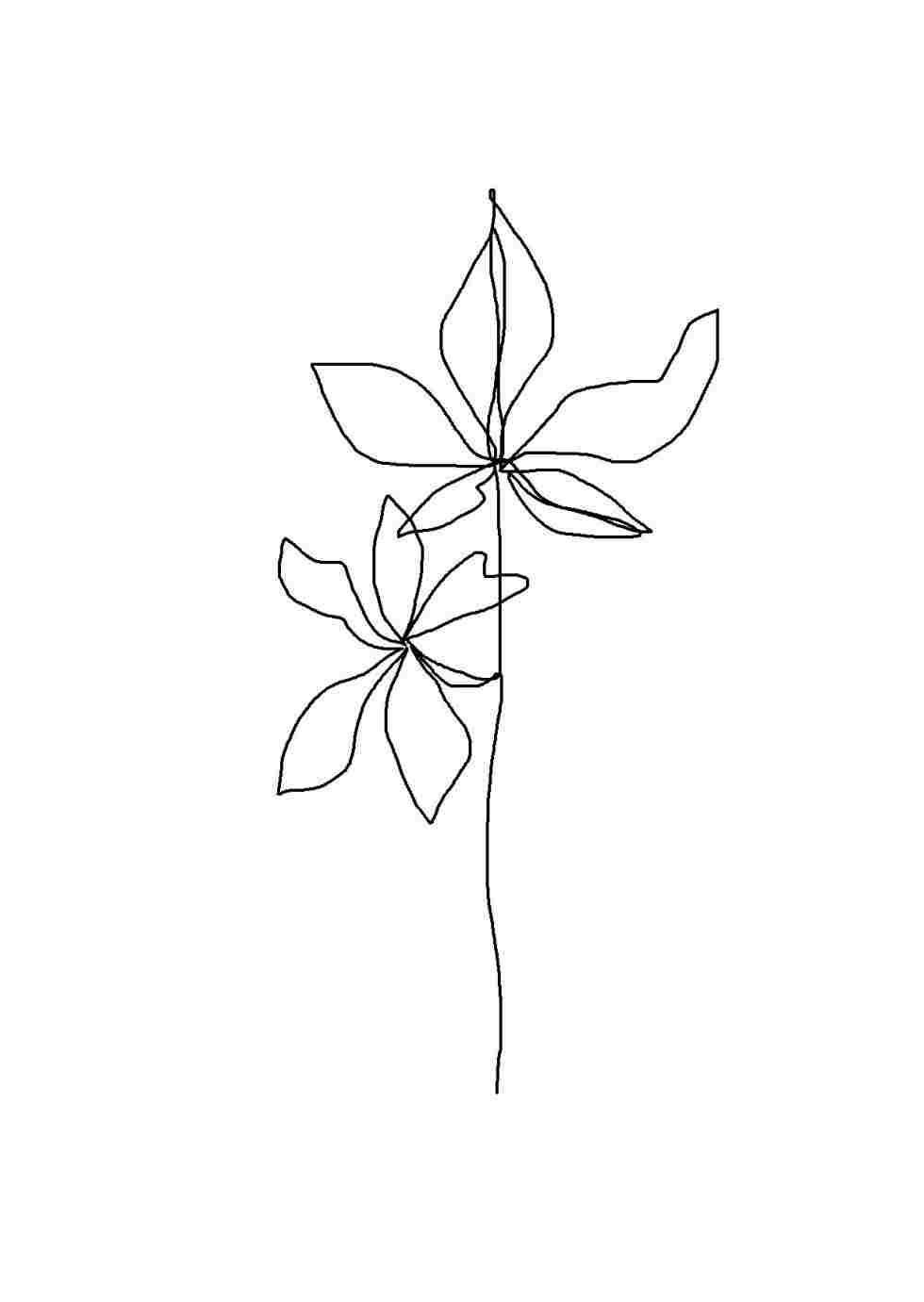 aesthetic drawing, blossom, minimalist line drawing, HD Phone Wallpaper