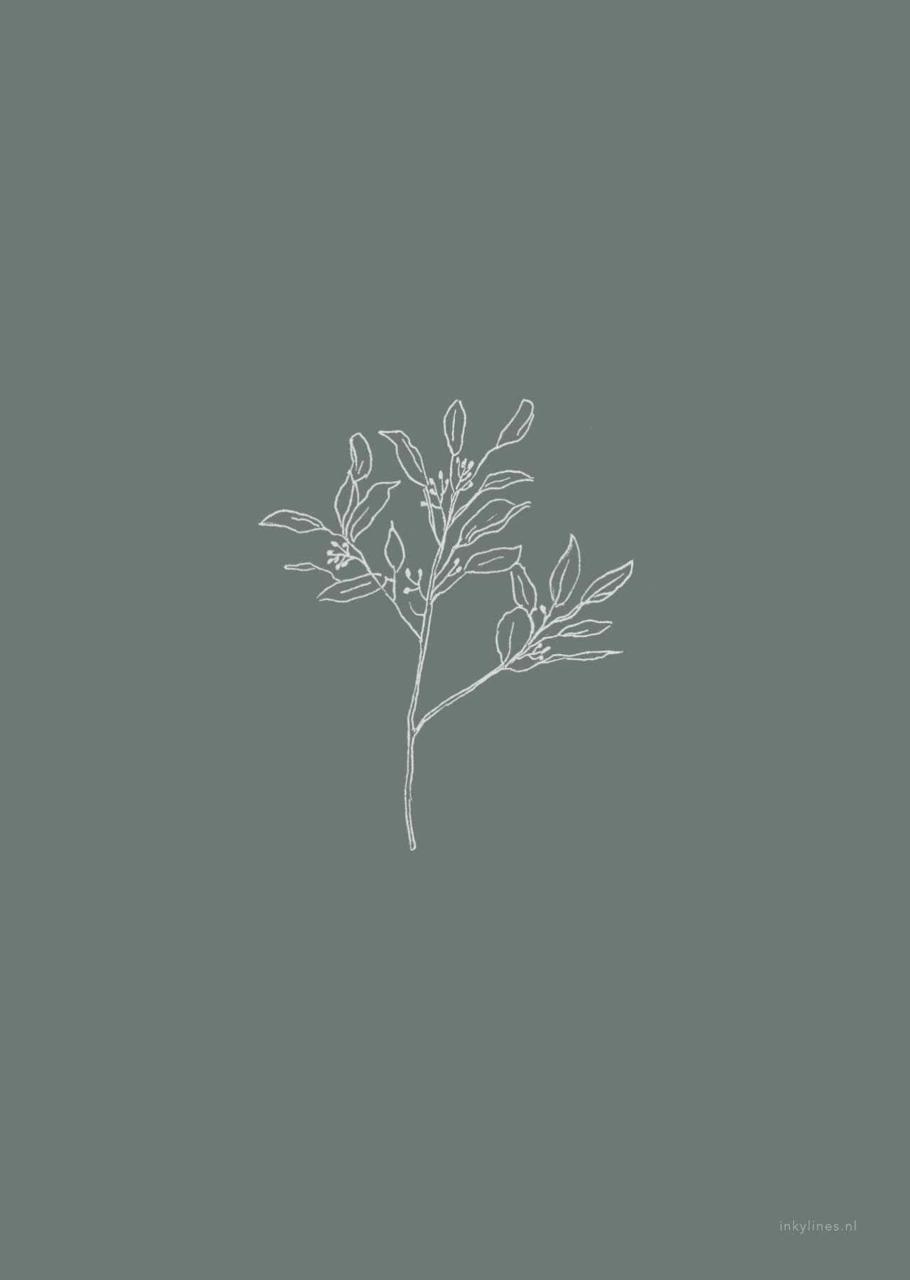 white line drawing, leafy branch, muted sage green background, HD Phone Wallpaper