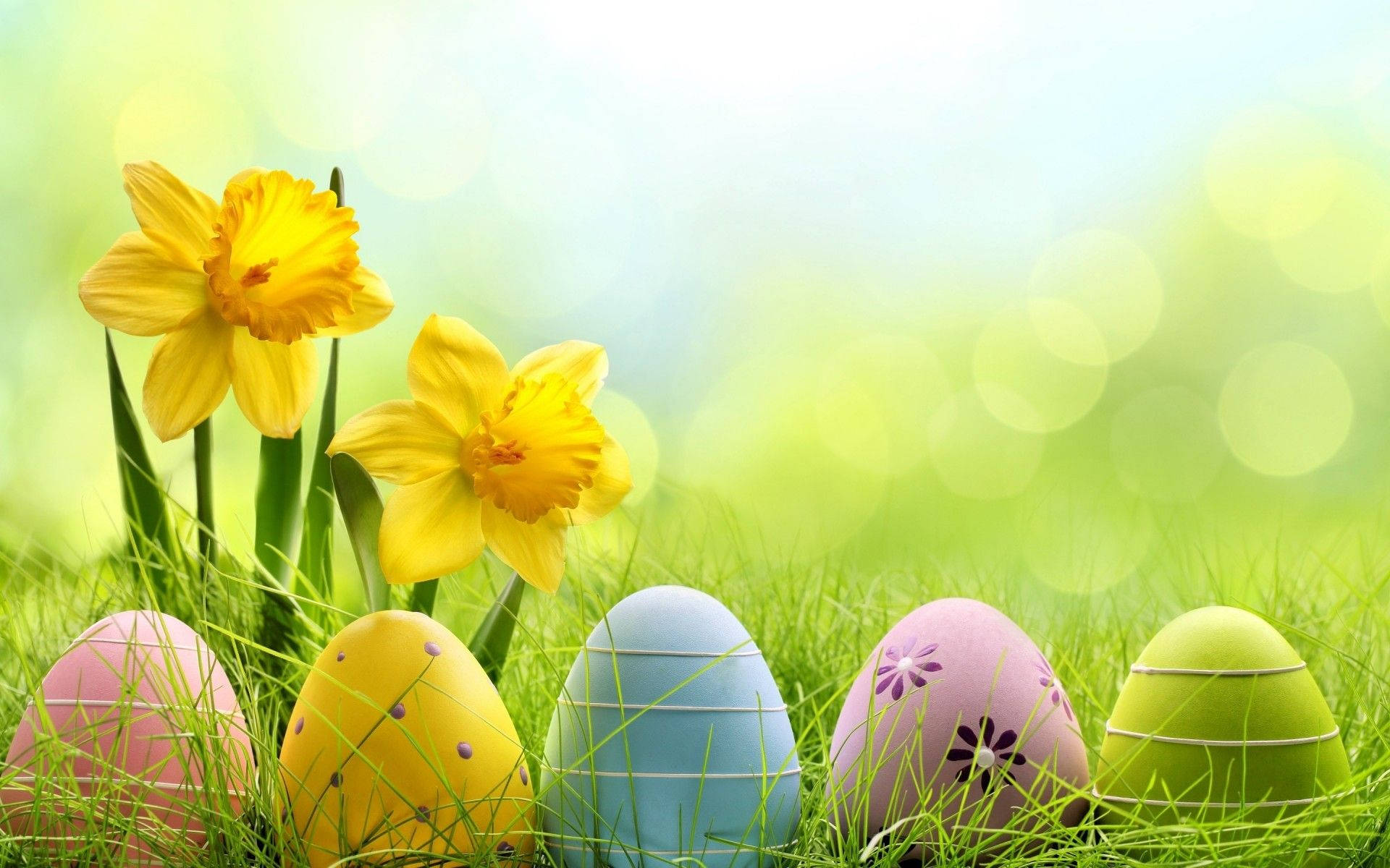 Aesthetic Easter, Easter eggs, yellow daffodils, Full HD Desktop Wallpaper