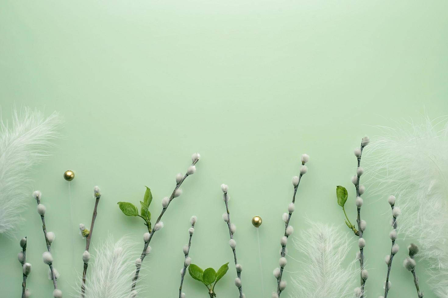 mint green, soft willow branches, budding catkins, HD Desktop Wallpaper