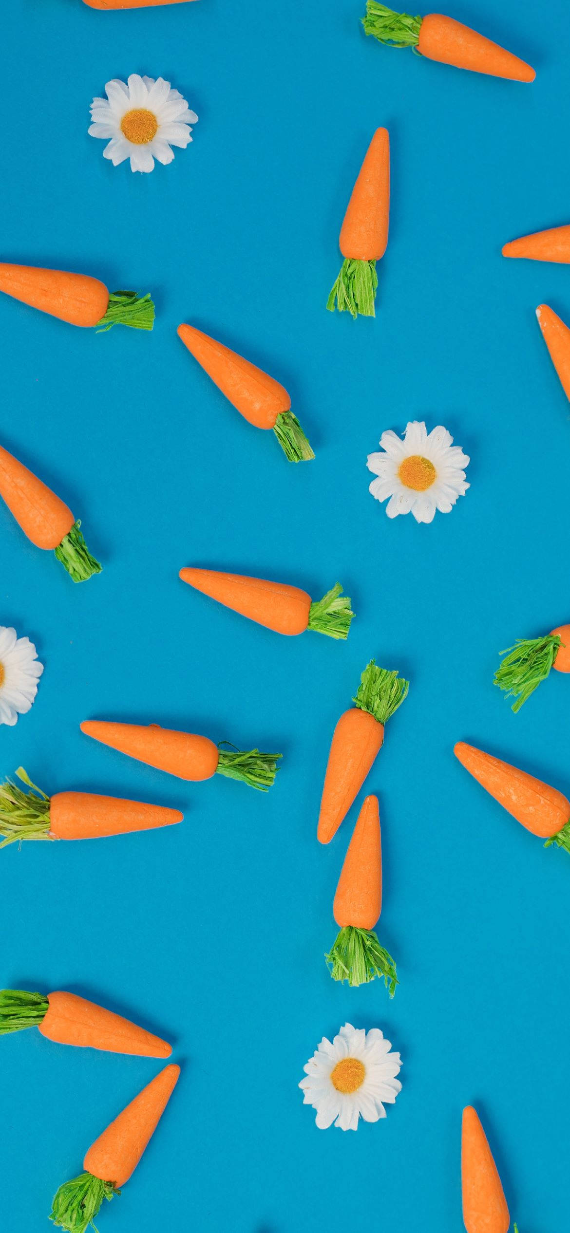 Aesthetic Easter, bright orange carrots, white daisies, Full HD Phone Wallpaper