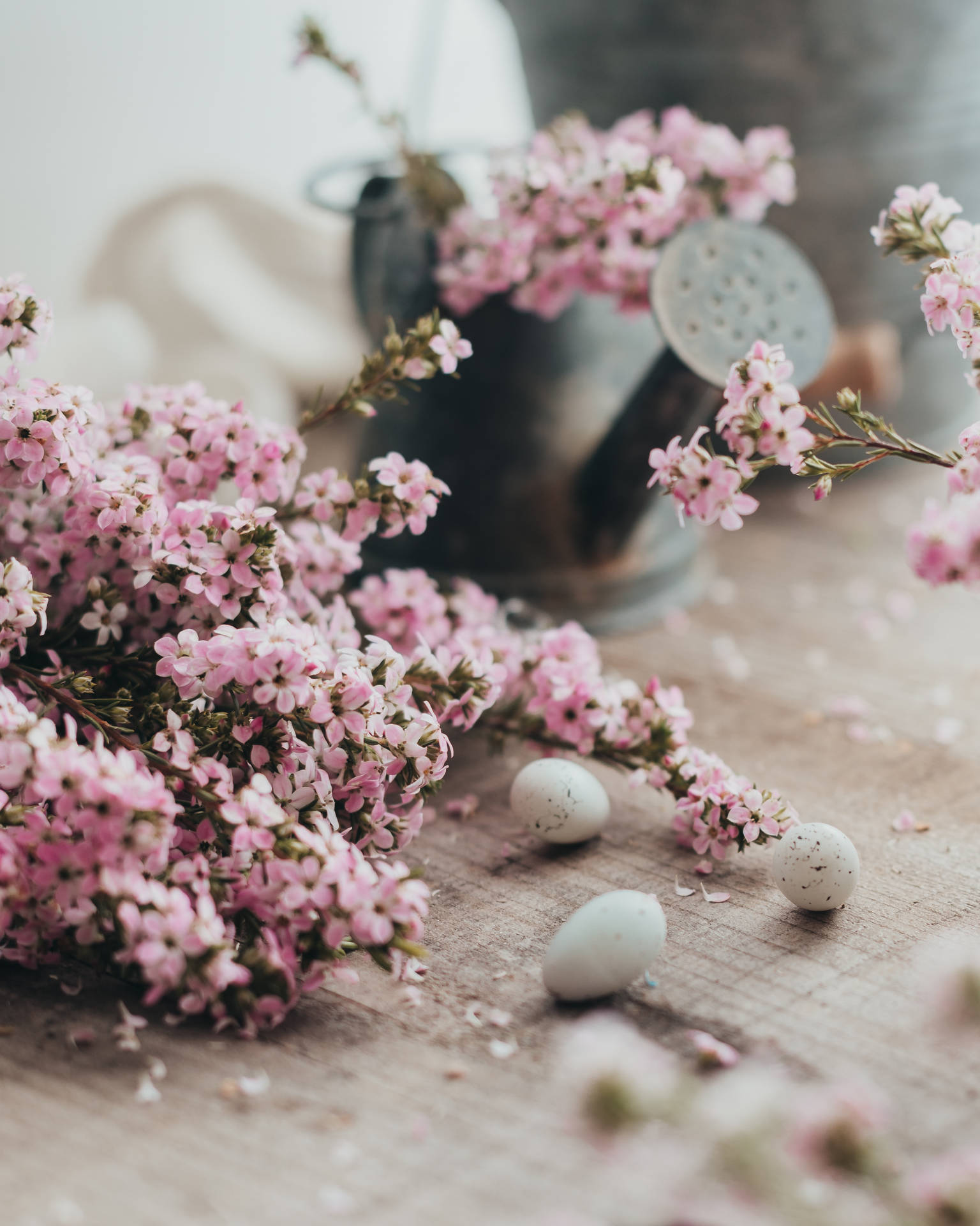 Pink blossoms, speckled eggs, rustic wooden surface, Full HD Phone Wallpaper