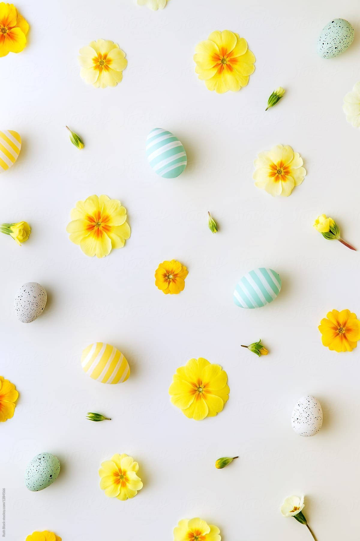 pastels, spring vibes, bright yellow marigolds, HD Phone Wallpaper