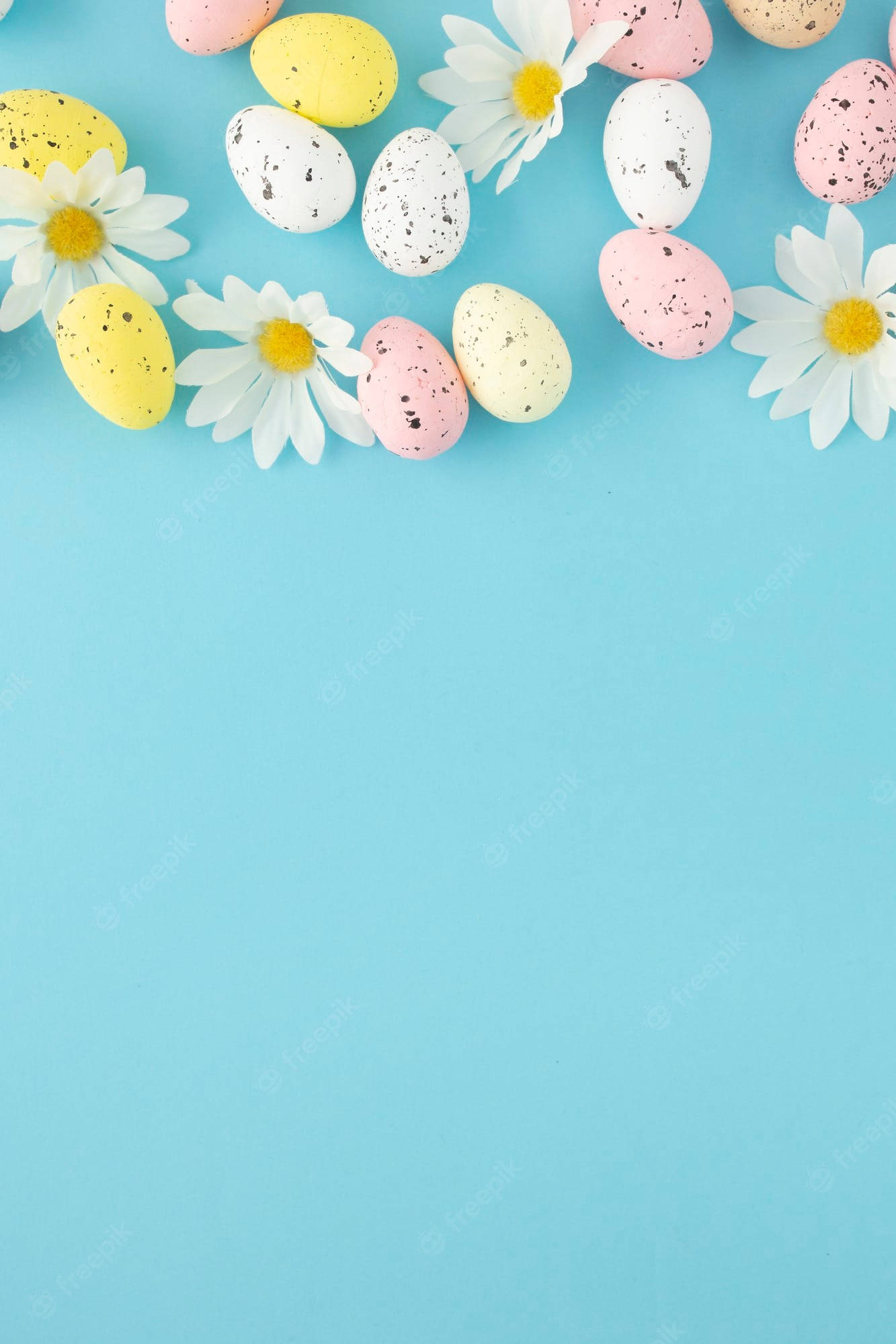 pastel speckled Easter eggs, white daisies, solid light blue background, Full HD Phone Wallpaper