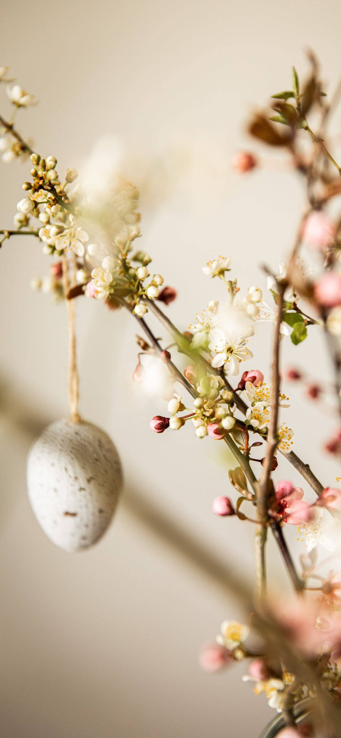 speckled egg, pink and white blossoms, slender branches, Full HD Phone Wallpaper