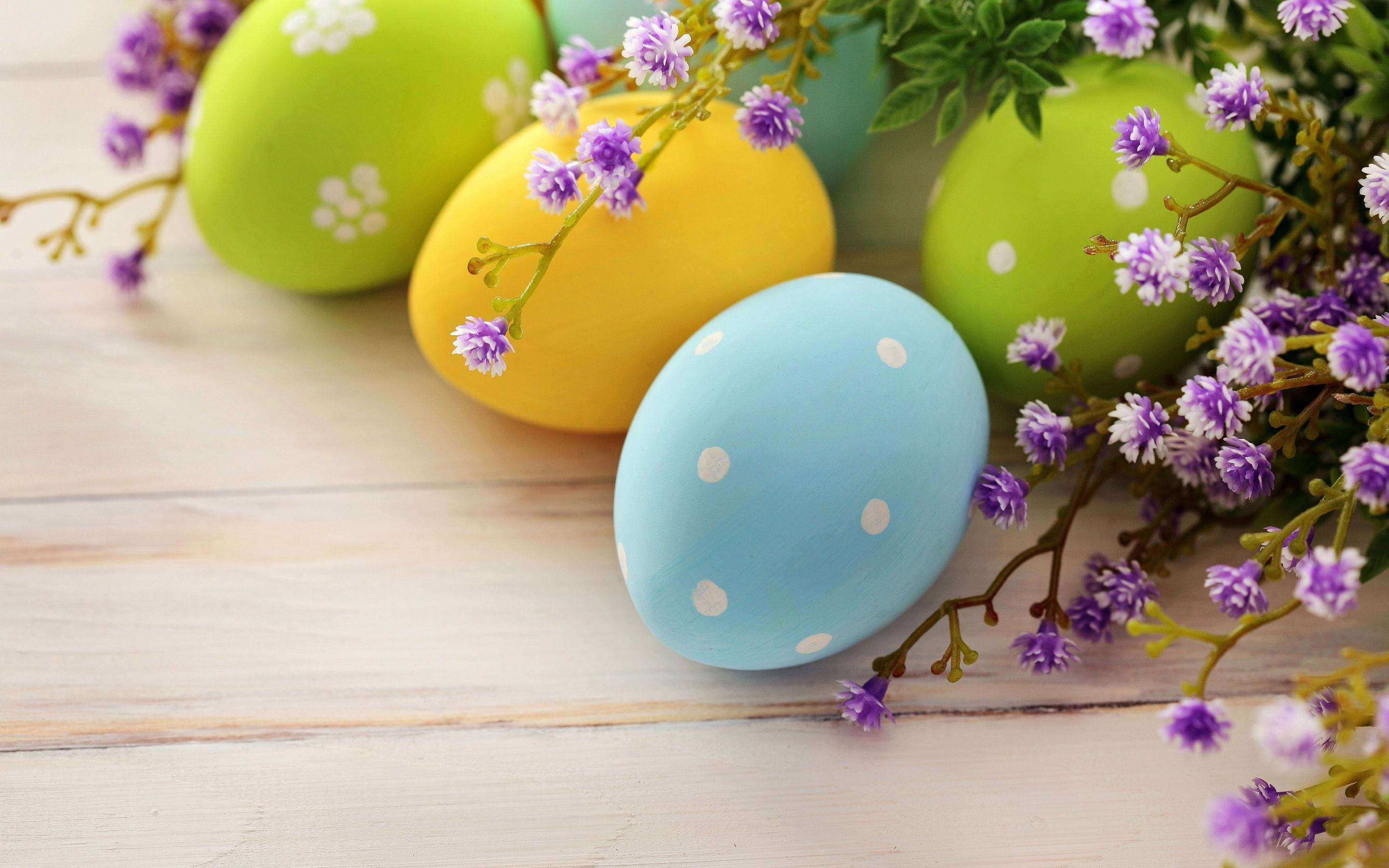 Easter eggs, white polka dots, purple flowers, 2K Desktop Wallpaper
