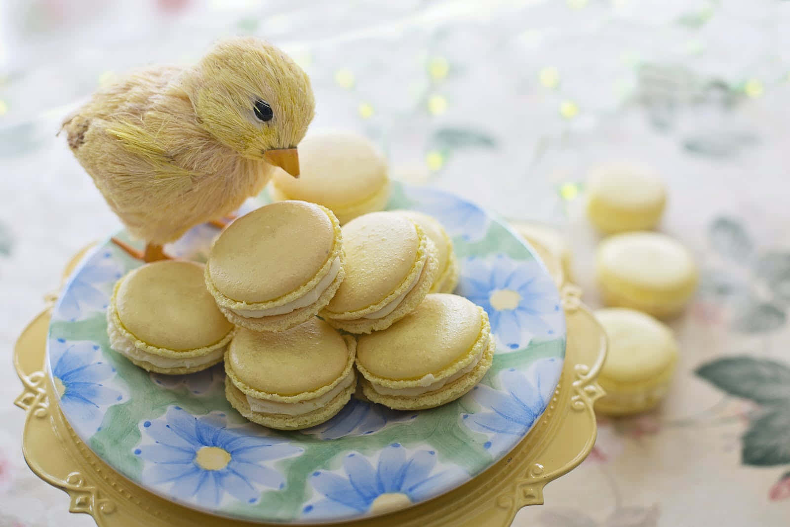 pastel easter, fluffy yellow chick figurine, pale yellow macarons, HD Desktop Wallpaper