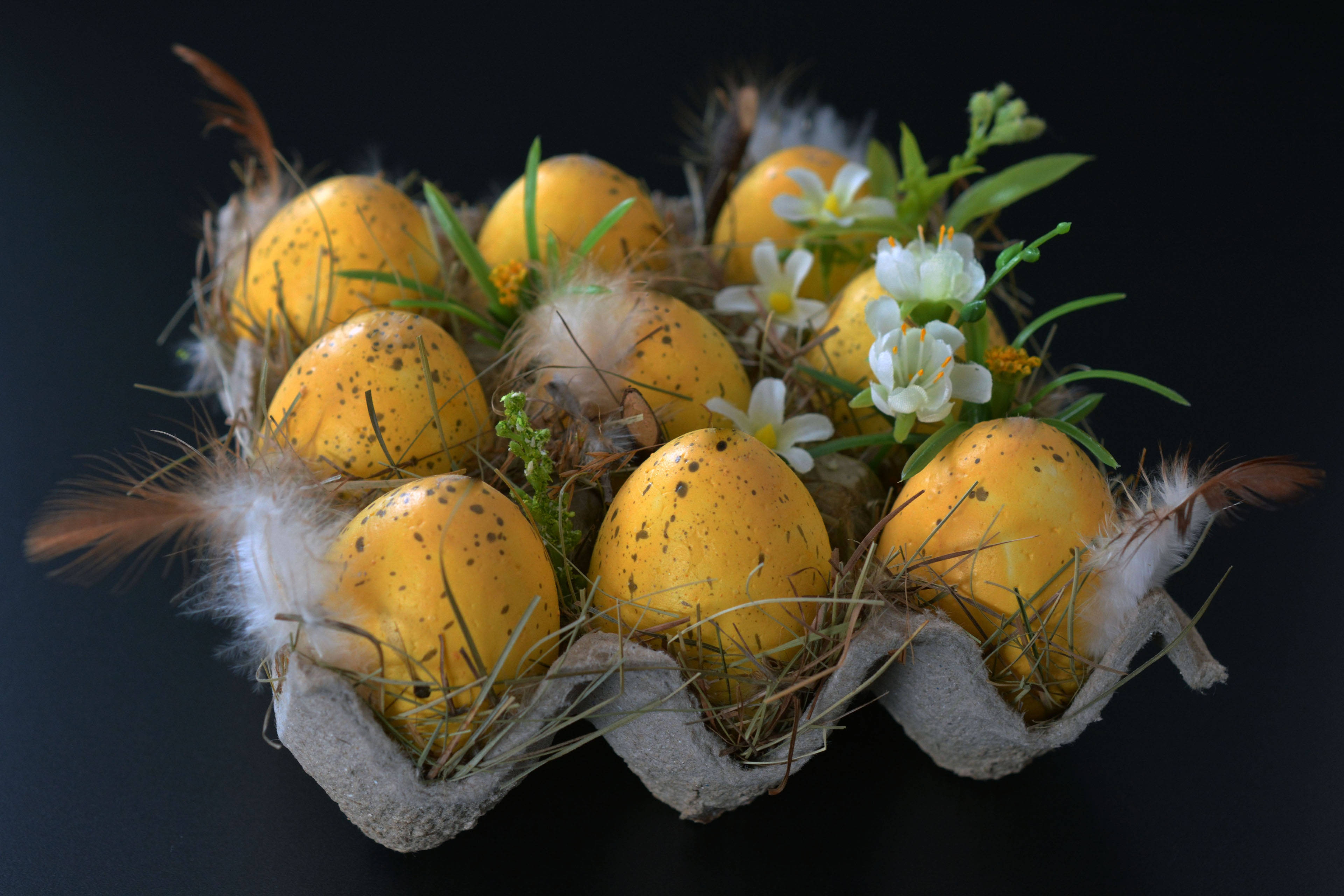 golden speckled eggs, cardboard tray, feathers, 4K Desktop Wallpaper