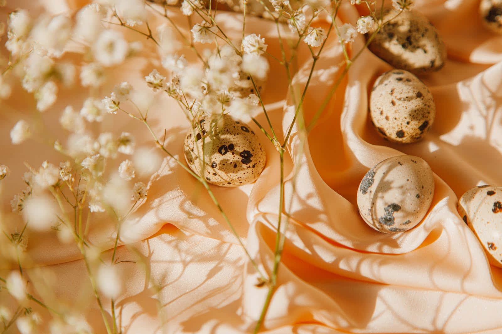 pastel easter, quail eggs, baby's breath flowers, HD Desktop Wallpaper
