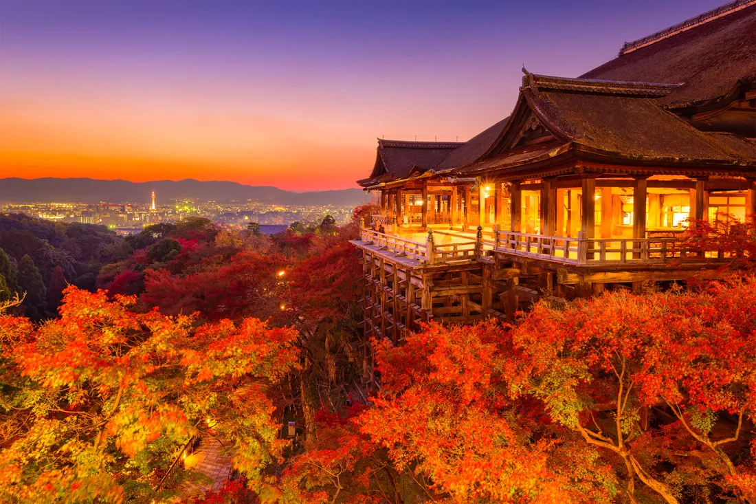 Aesthetic Fall