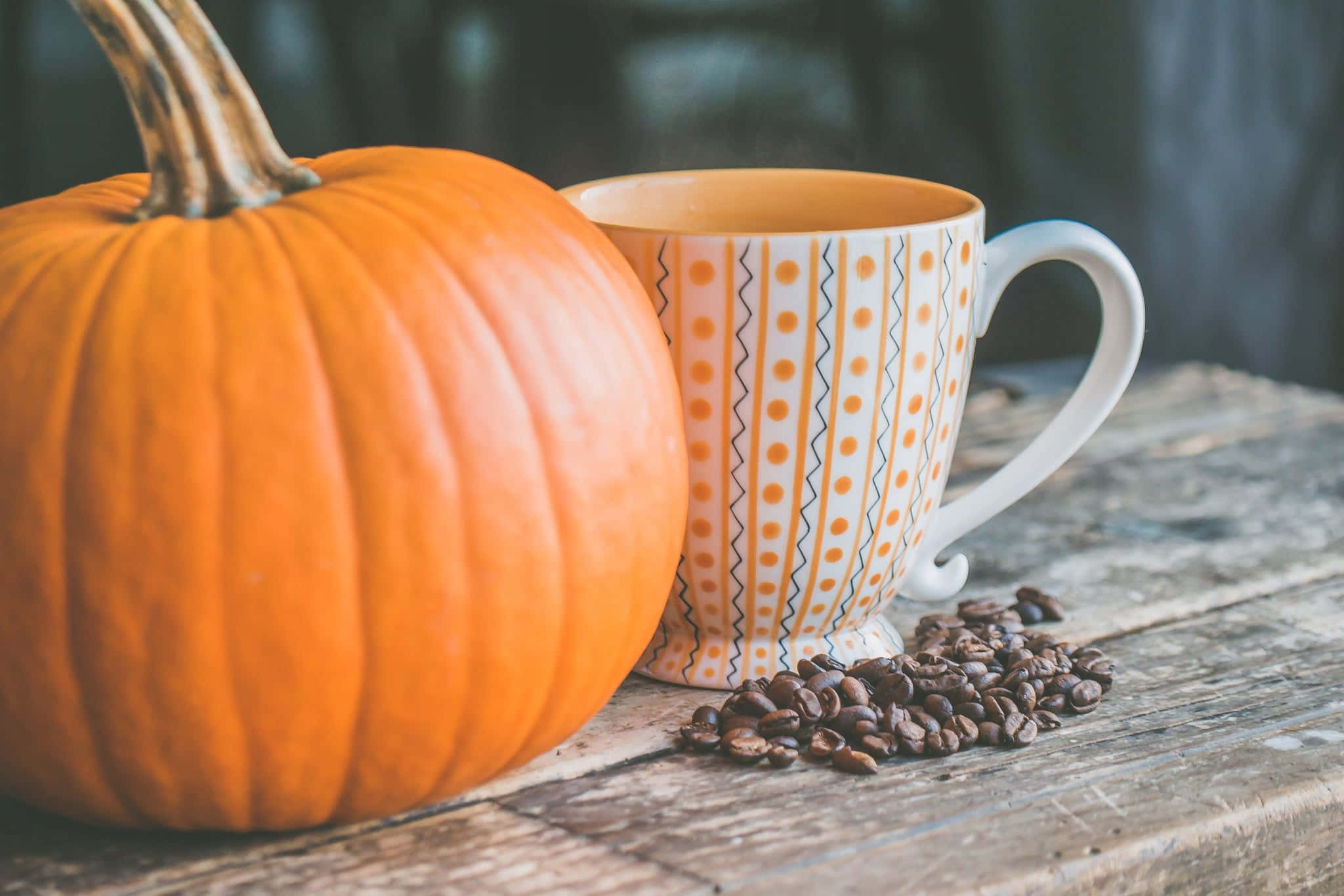 cozy fall, pumpkin, coffee, Full HD Desktop Wallpaper