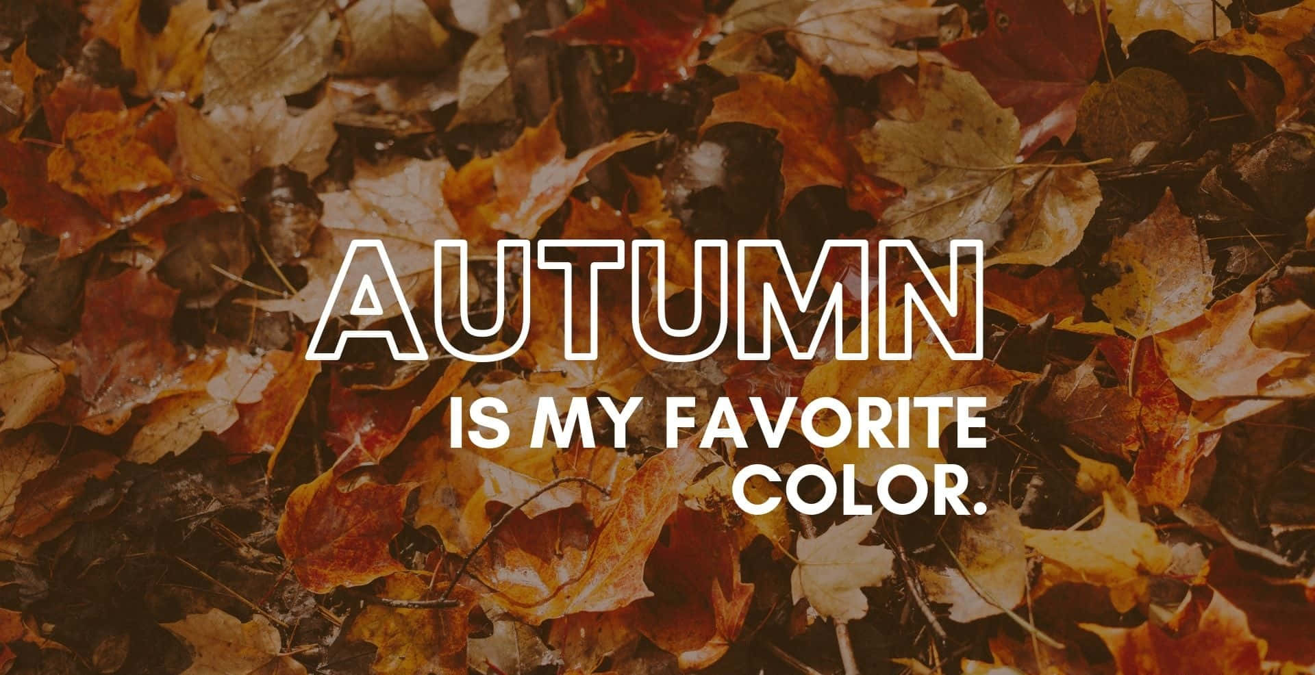 autumn, orange red, brown, Full HD Desktop Wallpaper