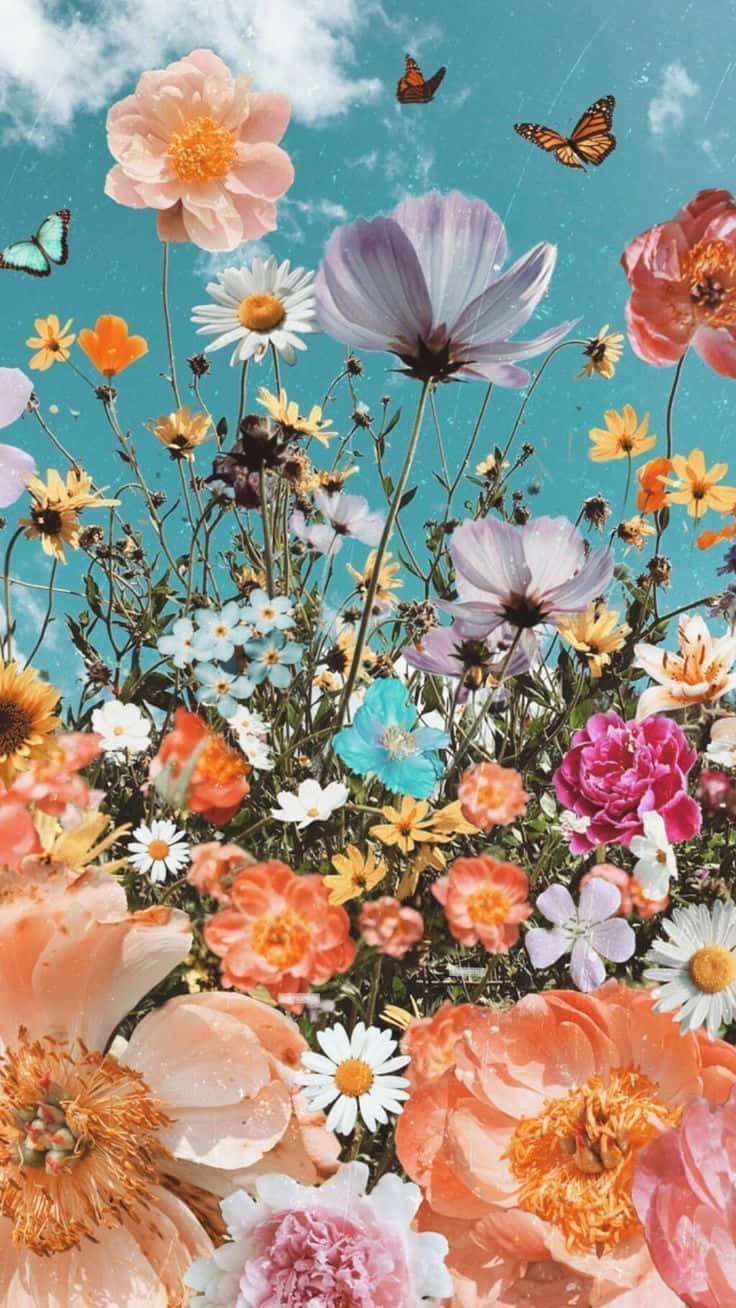 aesthetic floral, pastel pinks, oranges, HD Phone Wallpaper