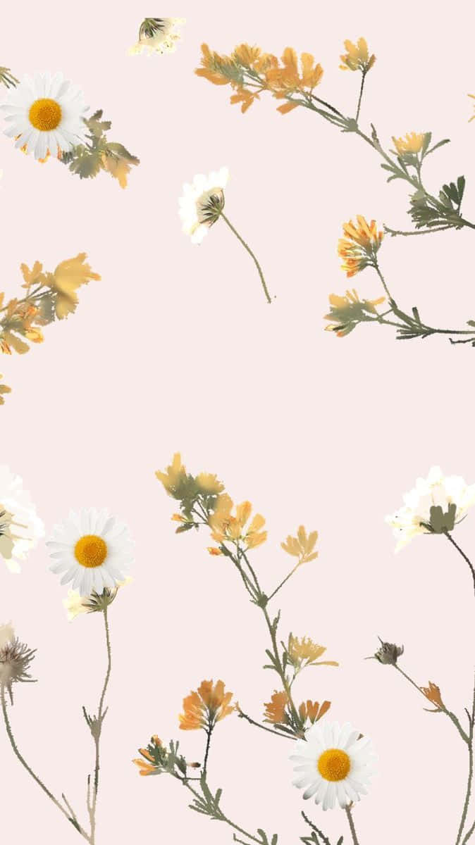 Aesthetic Floral, daisies, yellow blooms, SD Phone Wallpaper