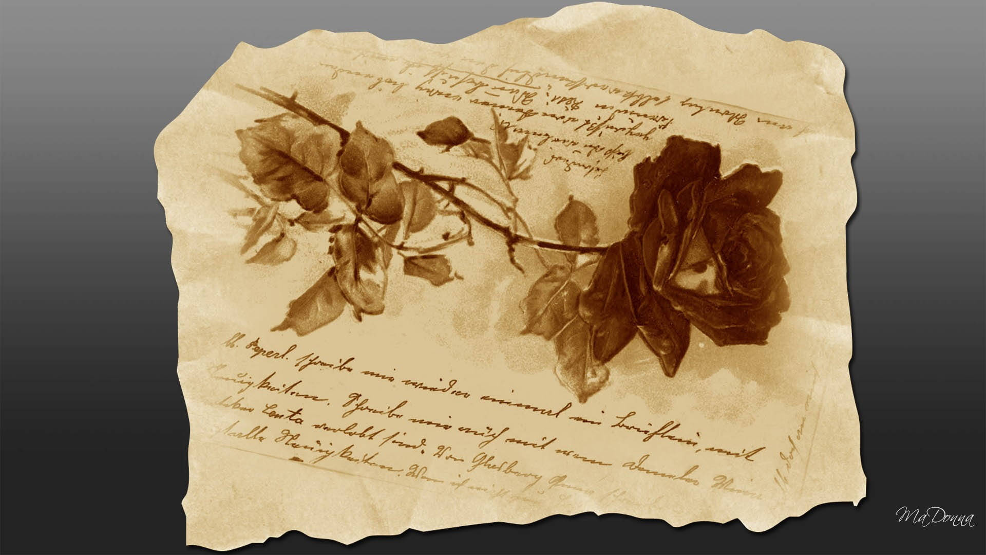 sepia-toned, vintage letter, wilting rose branch, Full HD Desktop Wallpaper