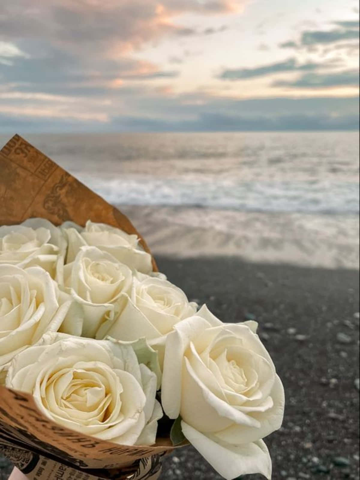 white rose aesthetic, bouquet, sunset, HD Phone Wallpaper