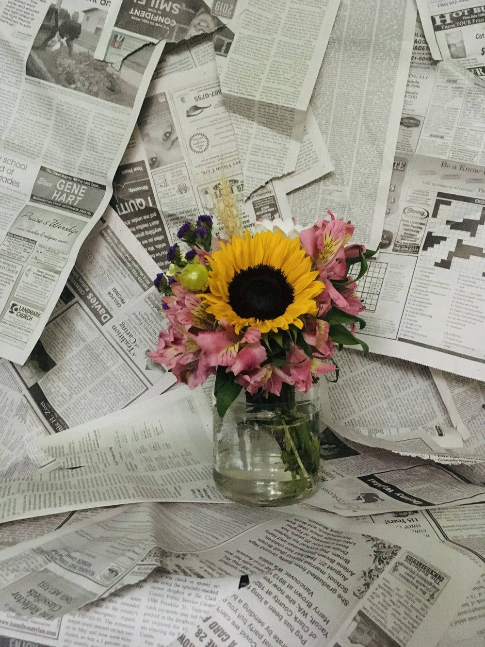 newspaper, sunflower, pink blooms, HD Phone Wallpaper