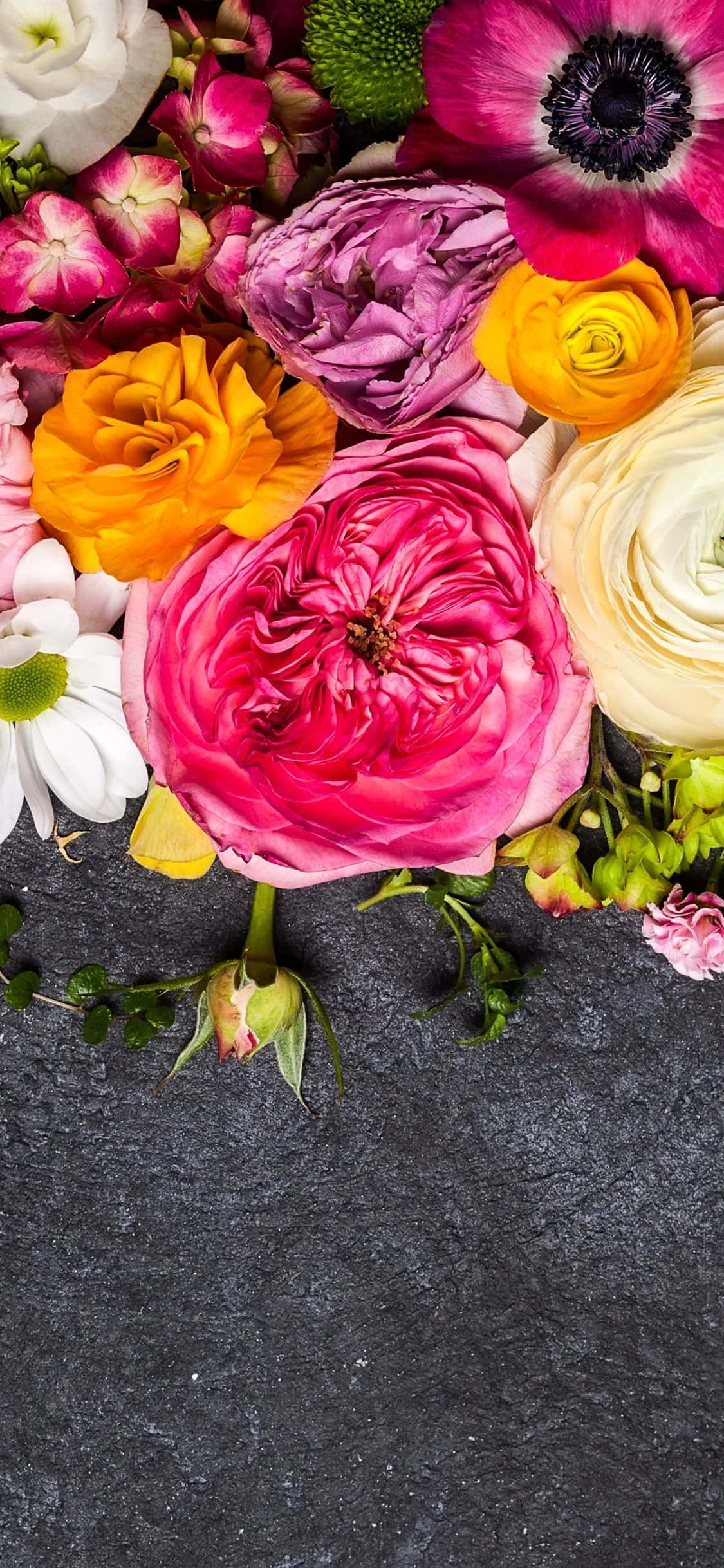 colorful flowers, pink, yellow, Full HD Phone Wallpaper