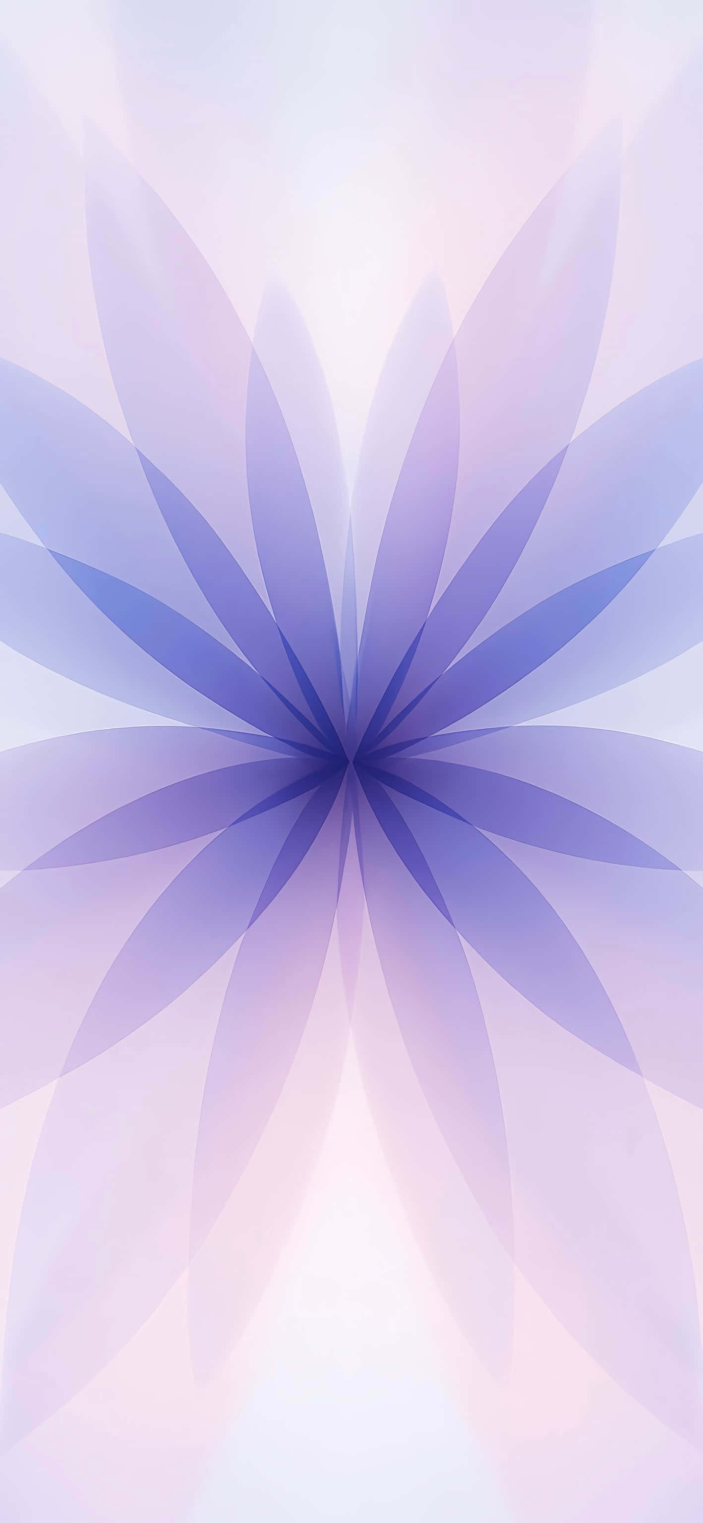 iPhone 17, floral gradient, translucent petals, 2K Phone Wallpaper