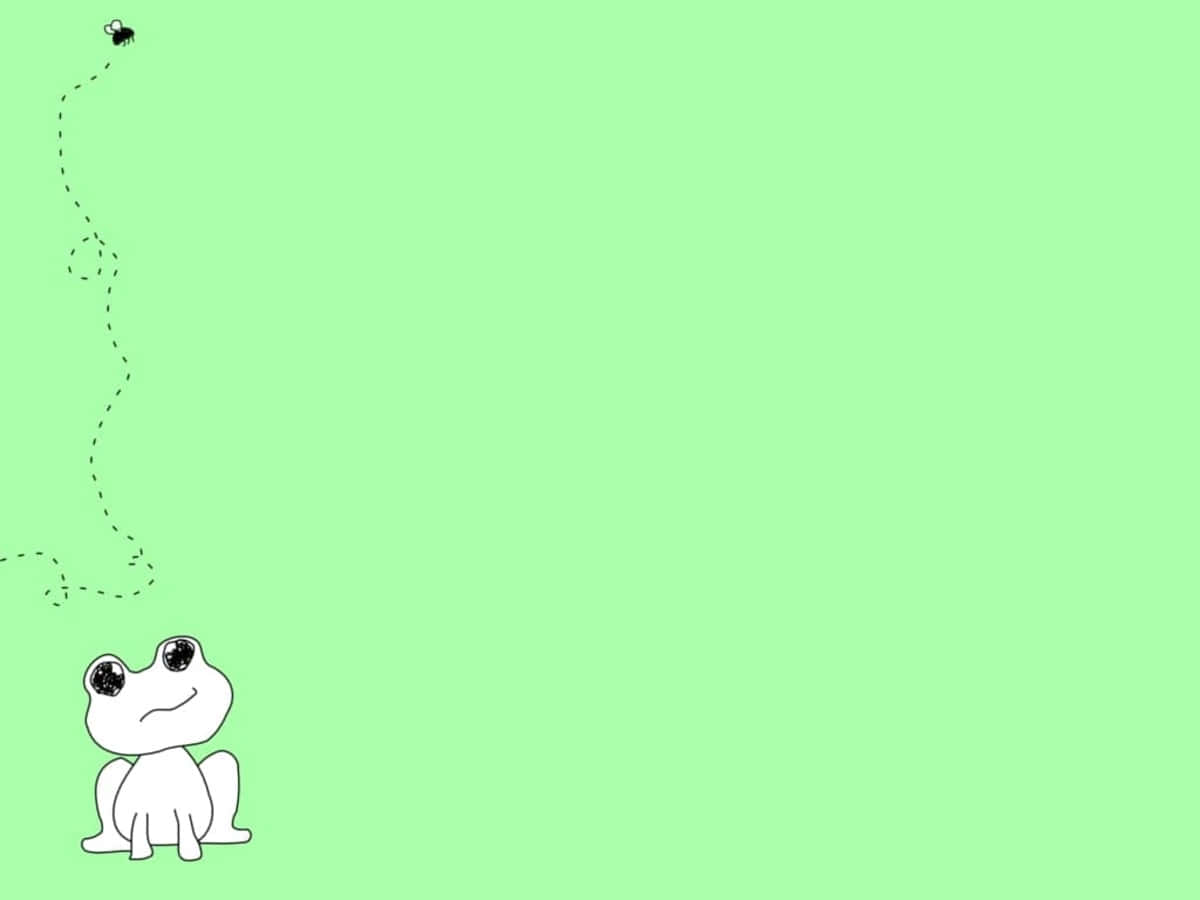 aesthetic frog, mint green, white line-drawn, SD Desktop Wallpaper