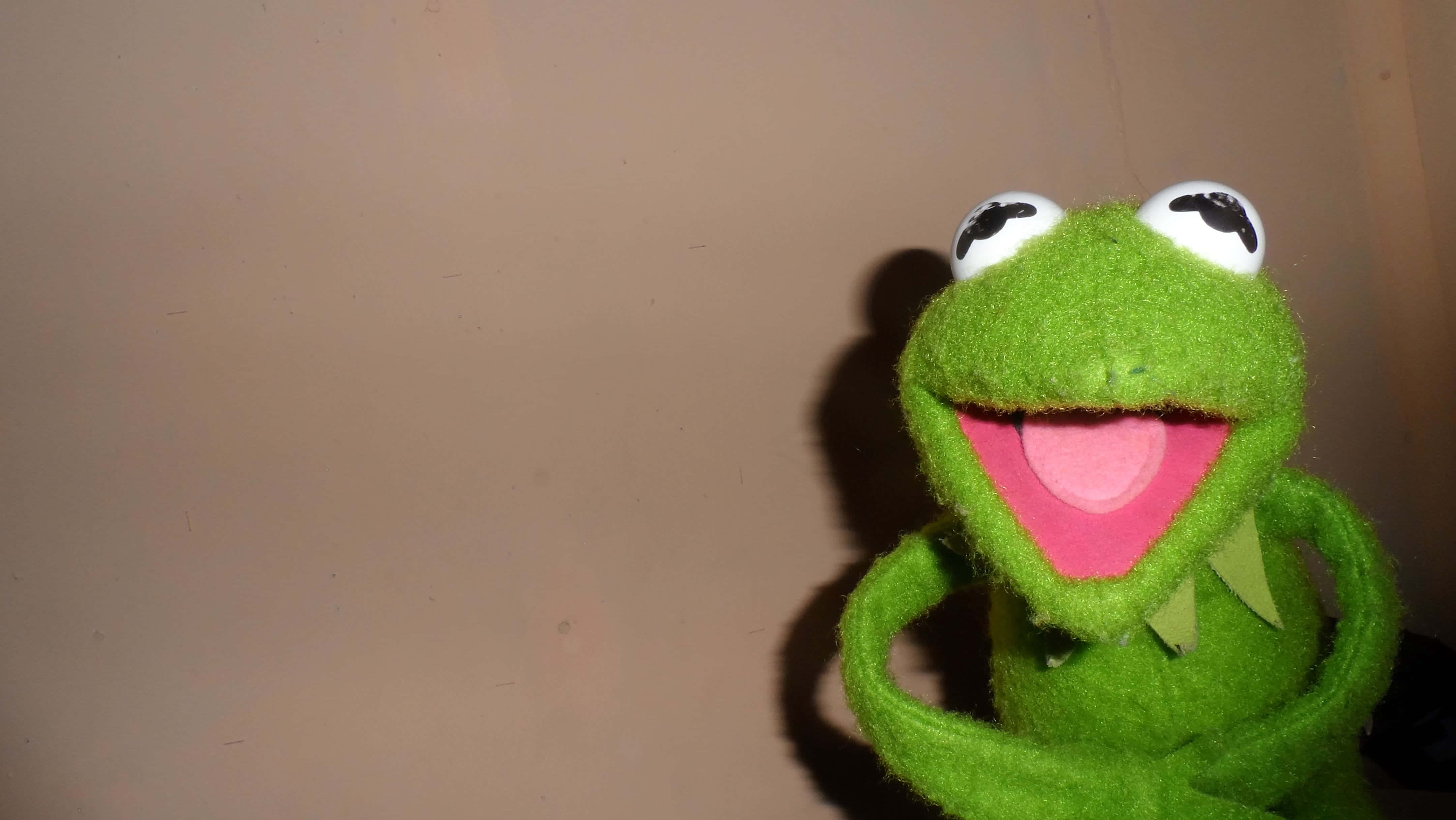 aesthetic frog, green felt frog puppet, big white eyes, 4K Desktop Wallpaper