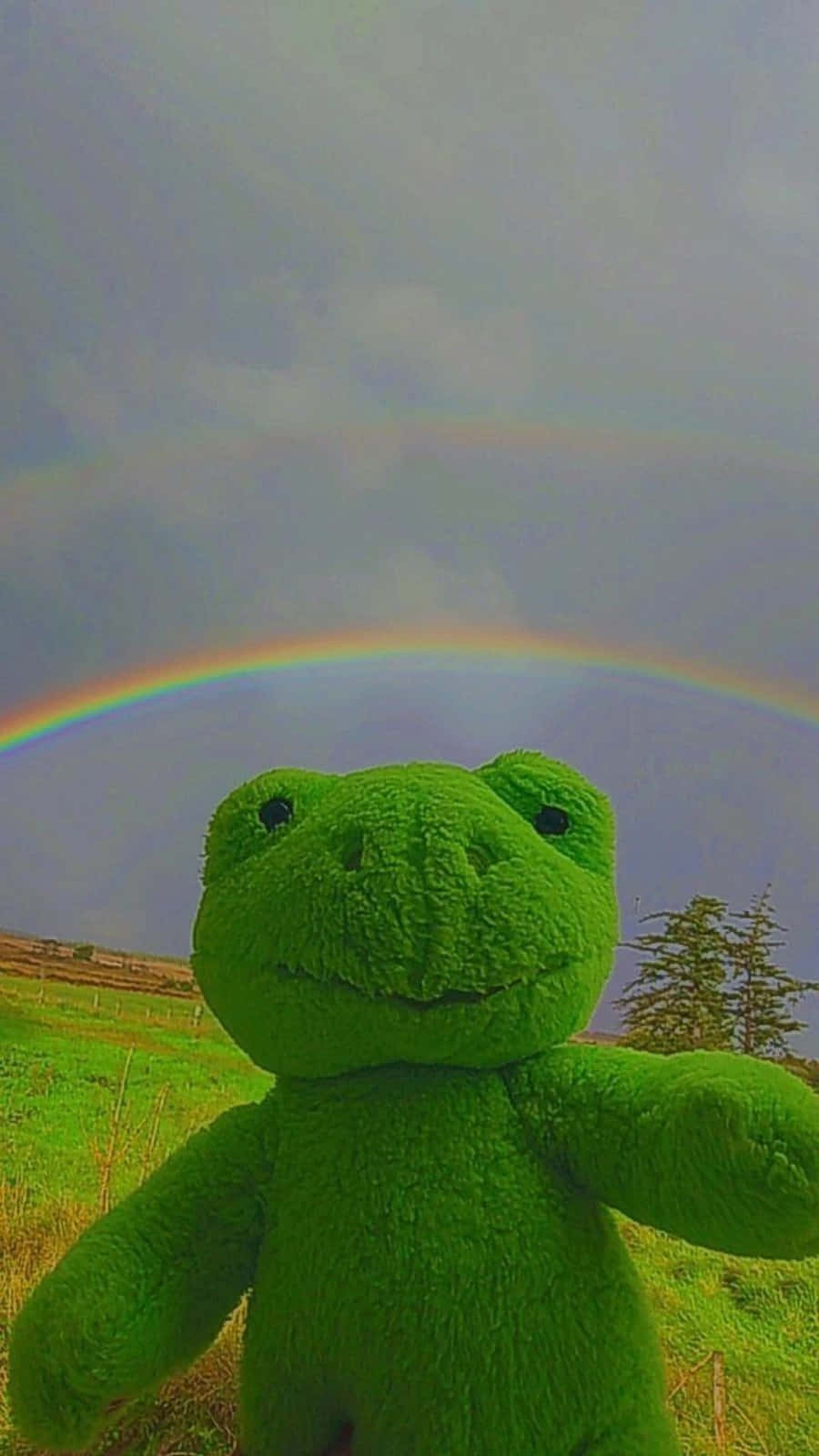 Aesthetic Frog, green plush frog toy, grassy field, HD Phone Wallpaper
