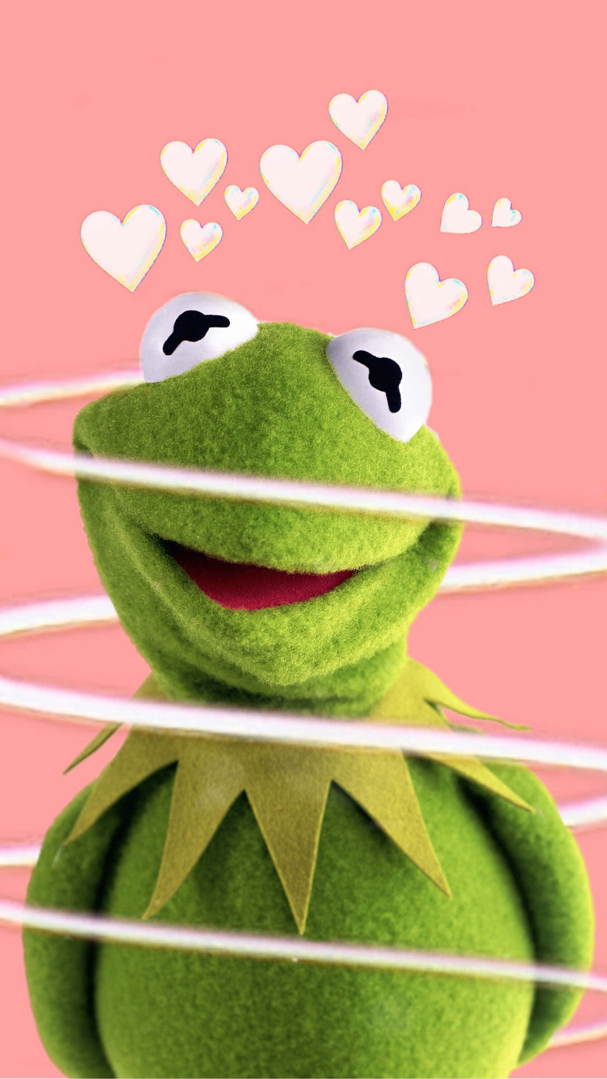 aesthetic frog, 1949, 3464, 2K Phone Wallpaper