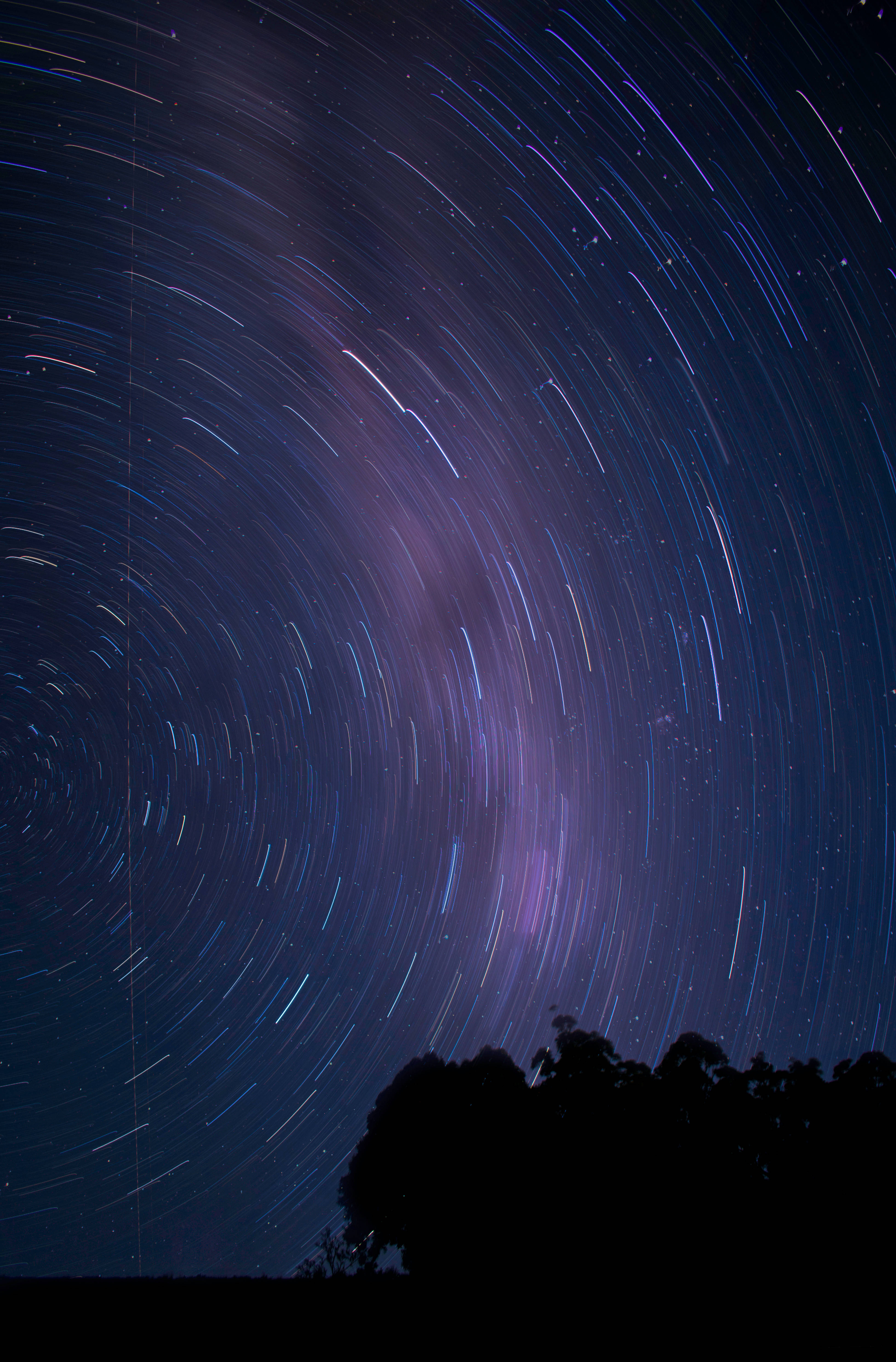 star trails, vibrant blues and purples, dark treeline, 5K Phone Wallpaper