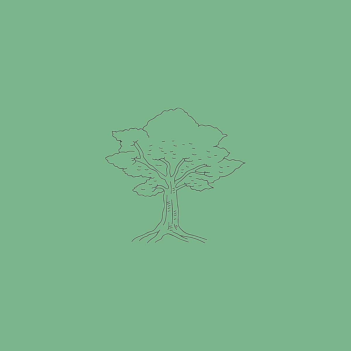 tree, roots, leafy canopy, SD Desktop Wallpaper