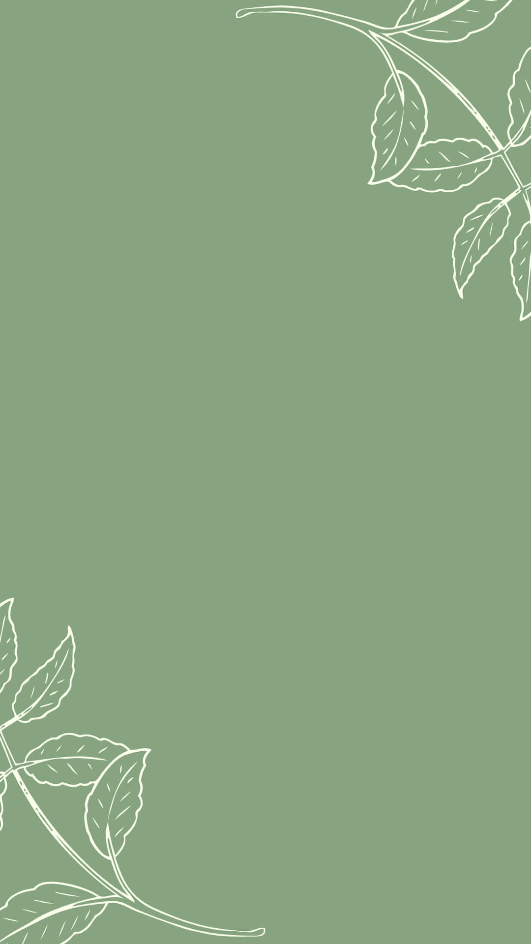 sage green, white line-drawn leafy branches, corners, Full HD Phone Wallpaper