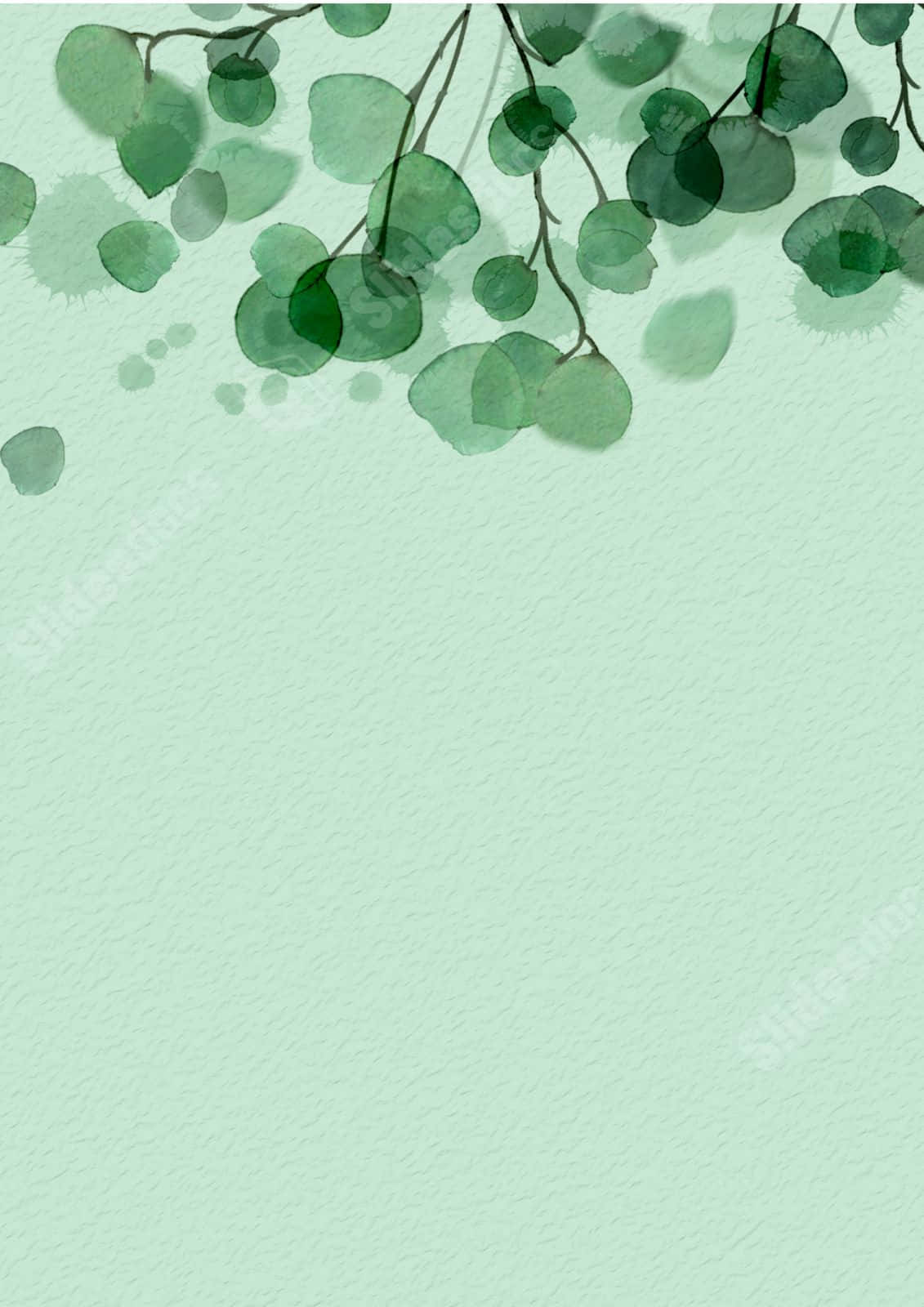 minimalist green eucalyptus watercolor, watercolor eucalyptus leaves, varying green tones, HD Phone Wallpaper