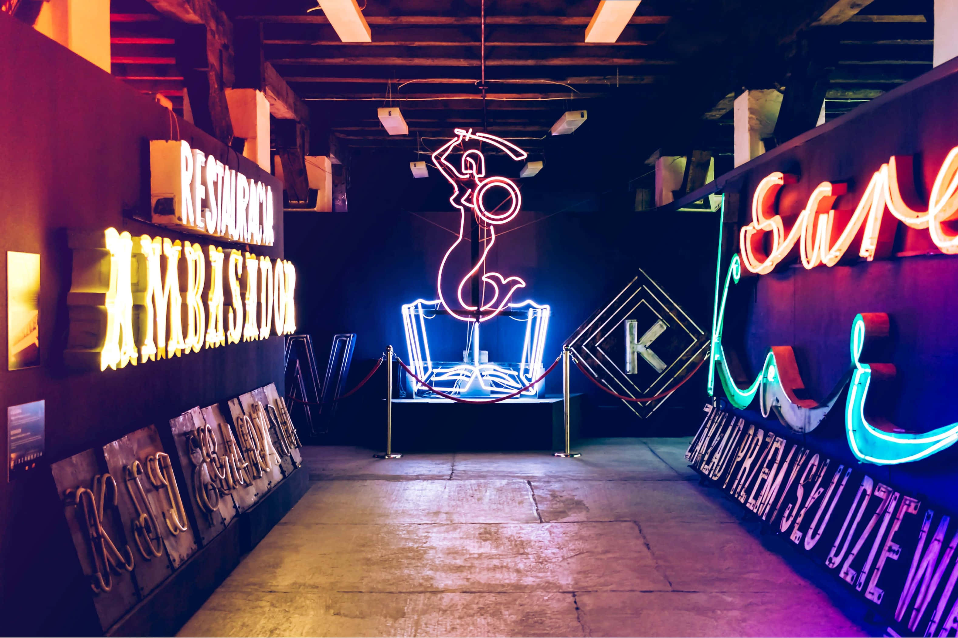 neon aesthetic grunge signs, dimly lit gallery hallway, vibrant neon signs, 2K Desktop Wallpaper