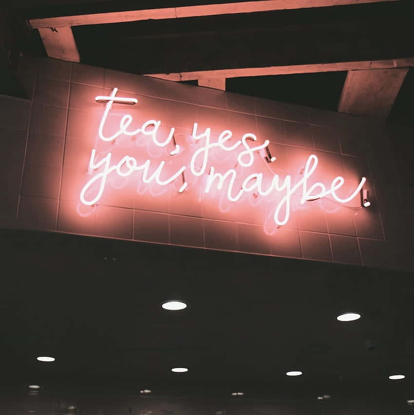 tea yes you maybe, pink neon sign, glowing pink neon sign, SD Phone Wallpaper
