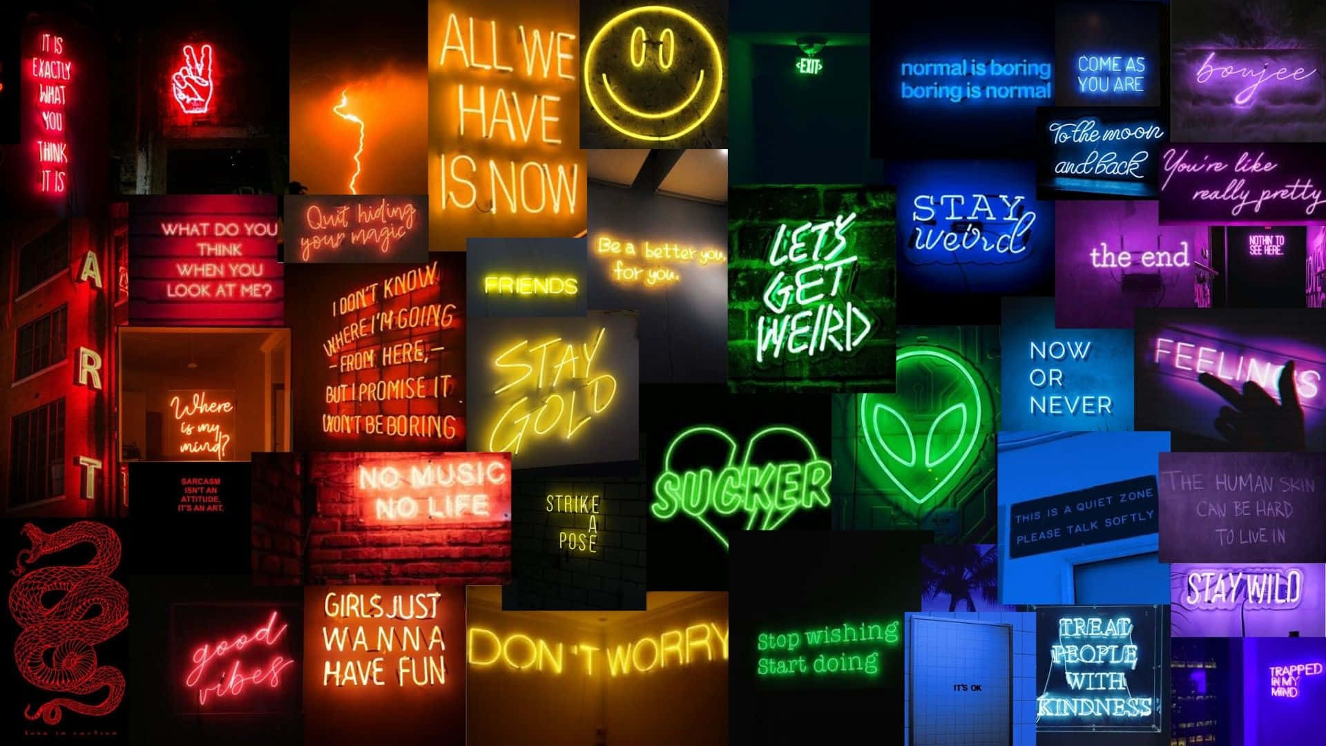Neon Signs Collage, glowing, bold messages, Full HD Desktop Wallpaper