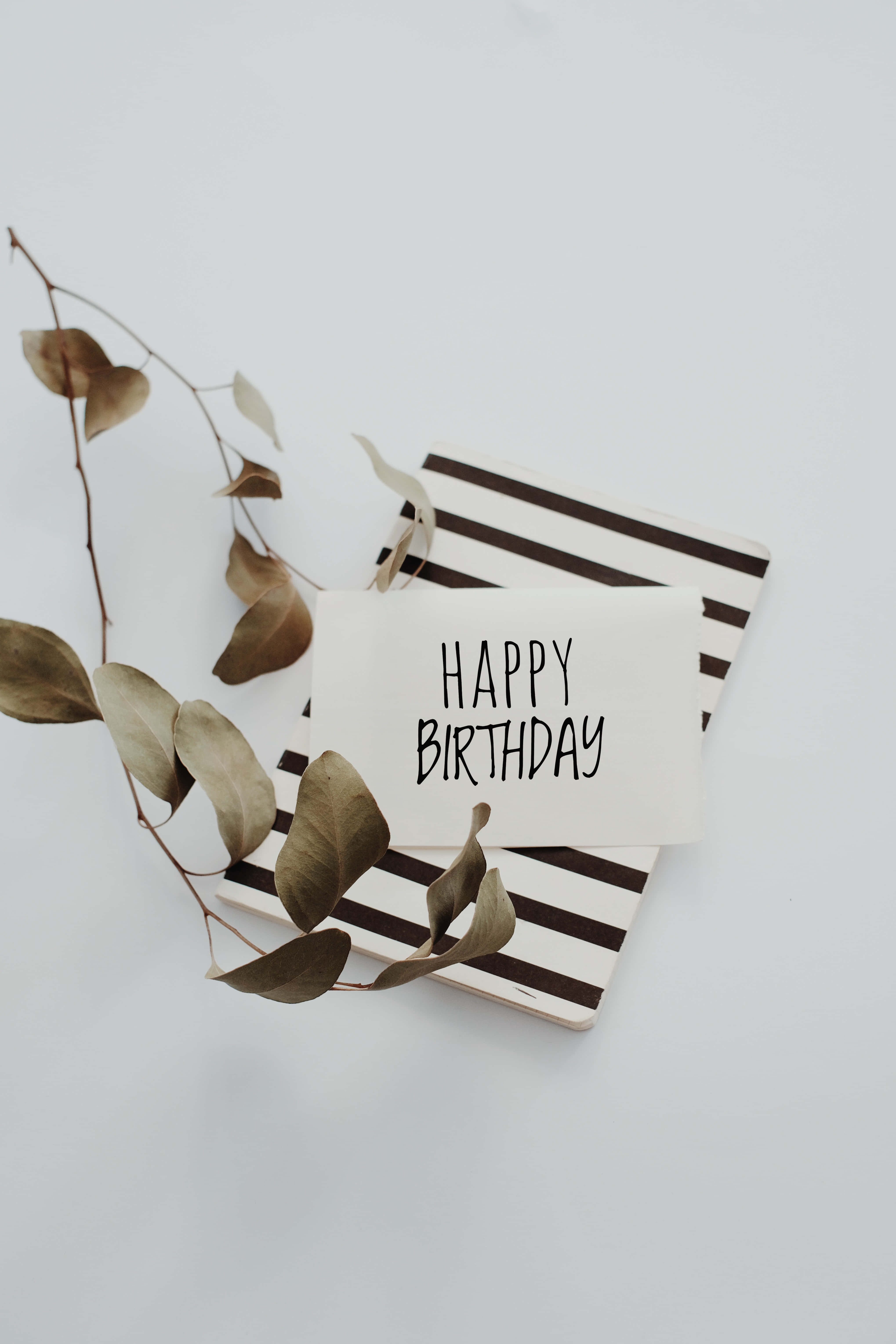 black script, striped paper, dried eucalyptus branches, 5K Phone Wallpaper