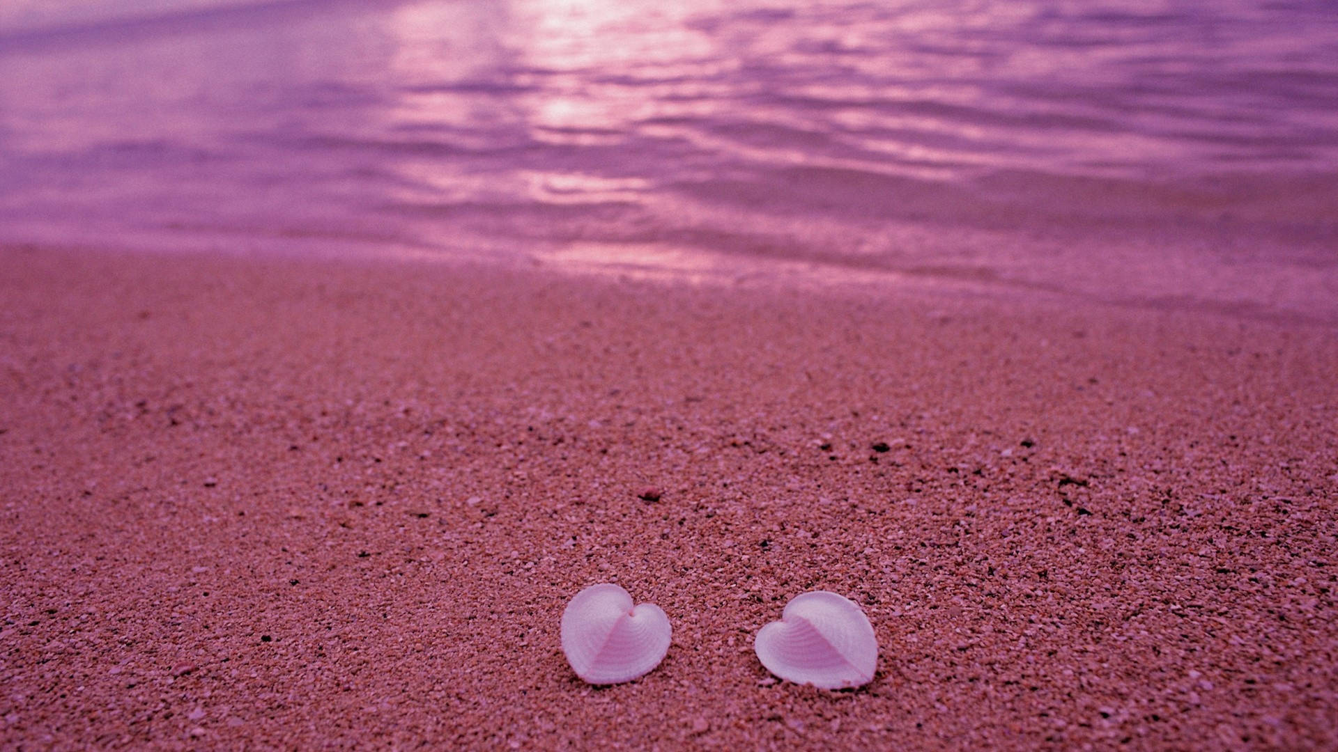 Aesthetic Heart, heart-shaped seashells, pink sand, Full HD Desktop Wallpaper