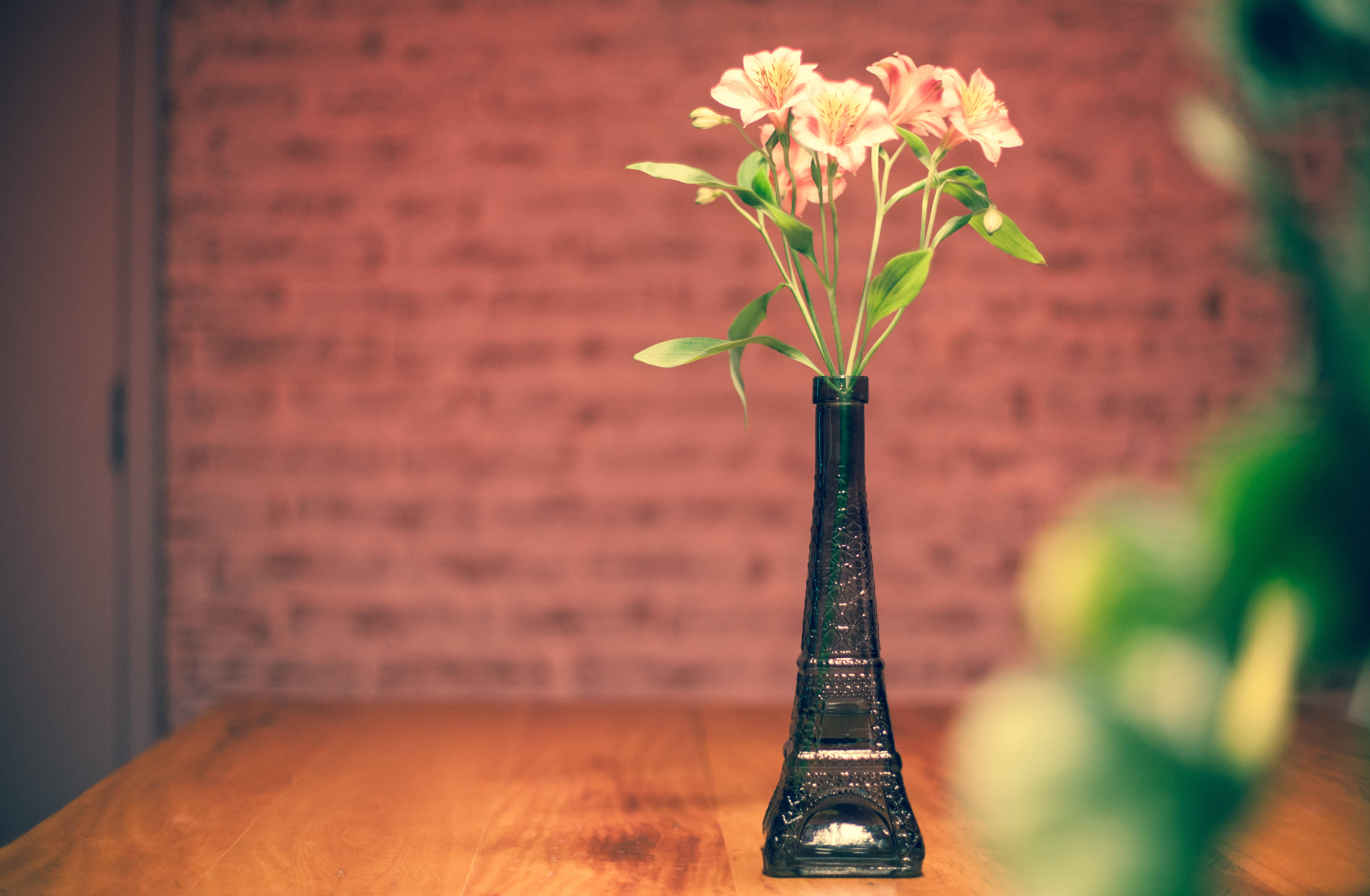 pink alstroemeria, black Eiffel Tower vase, wooden table, 5K Desktop Wallpaper