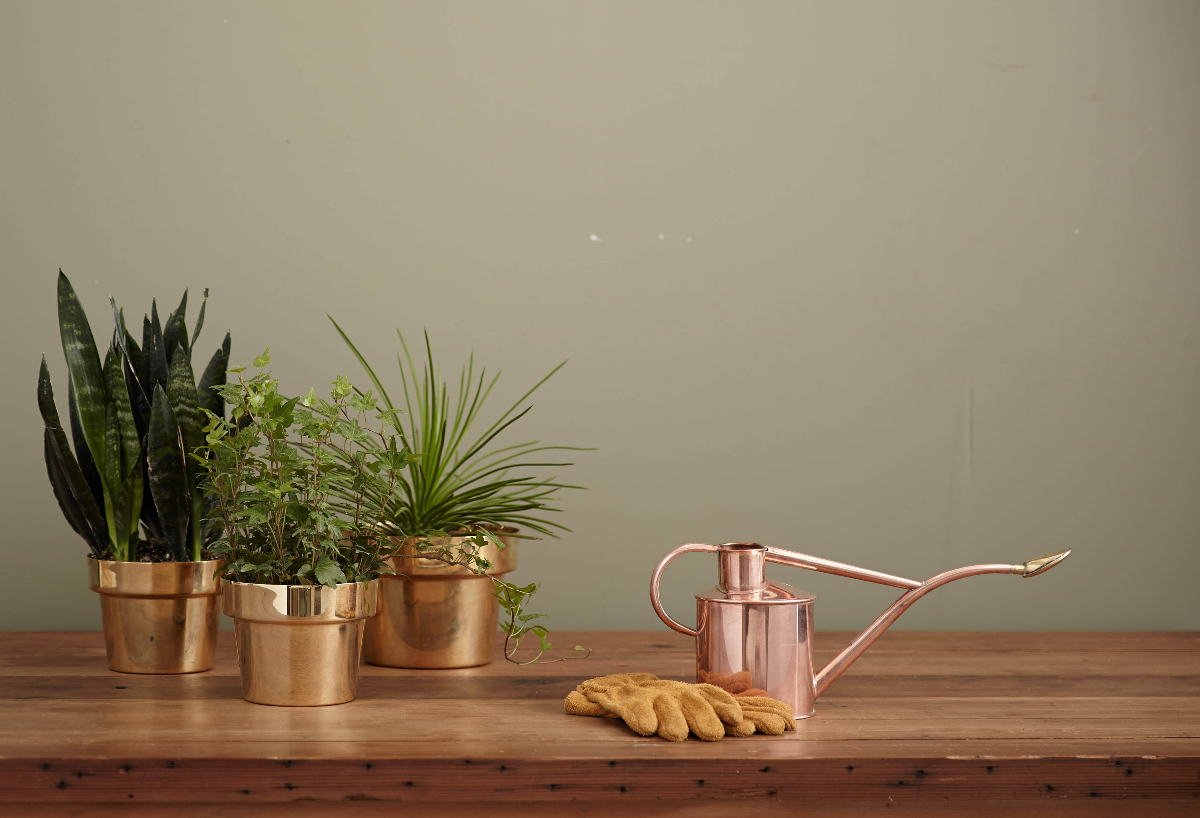 Aesthetic Home, three vases, copper watering can, 4K Desktop Wallpaper