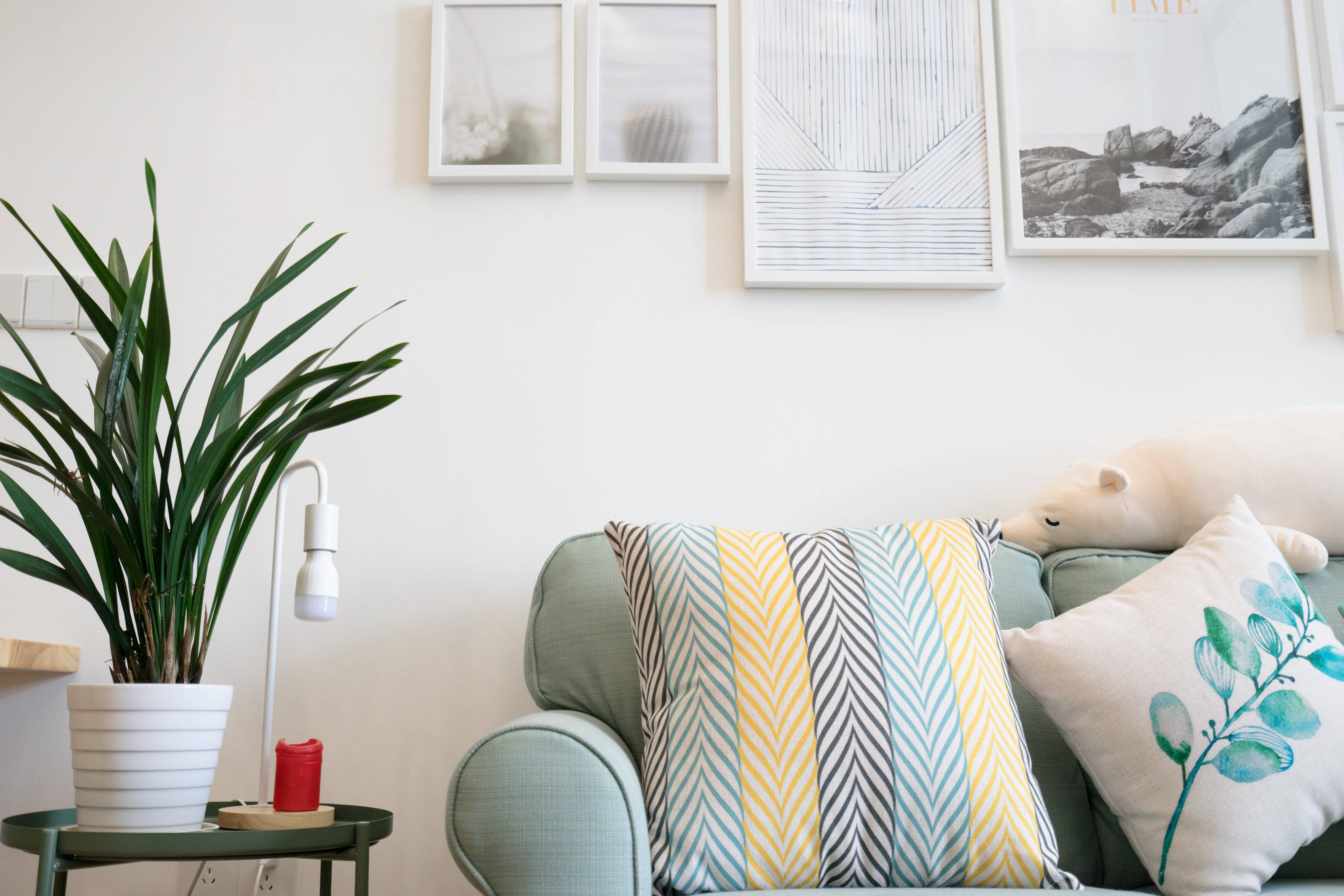 dusty green sofa, mint green sofa, botanical pillows, 5K Desktop Wallpaper