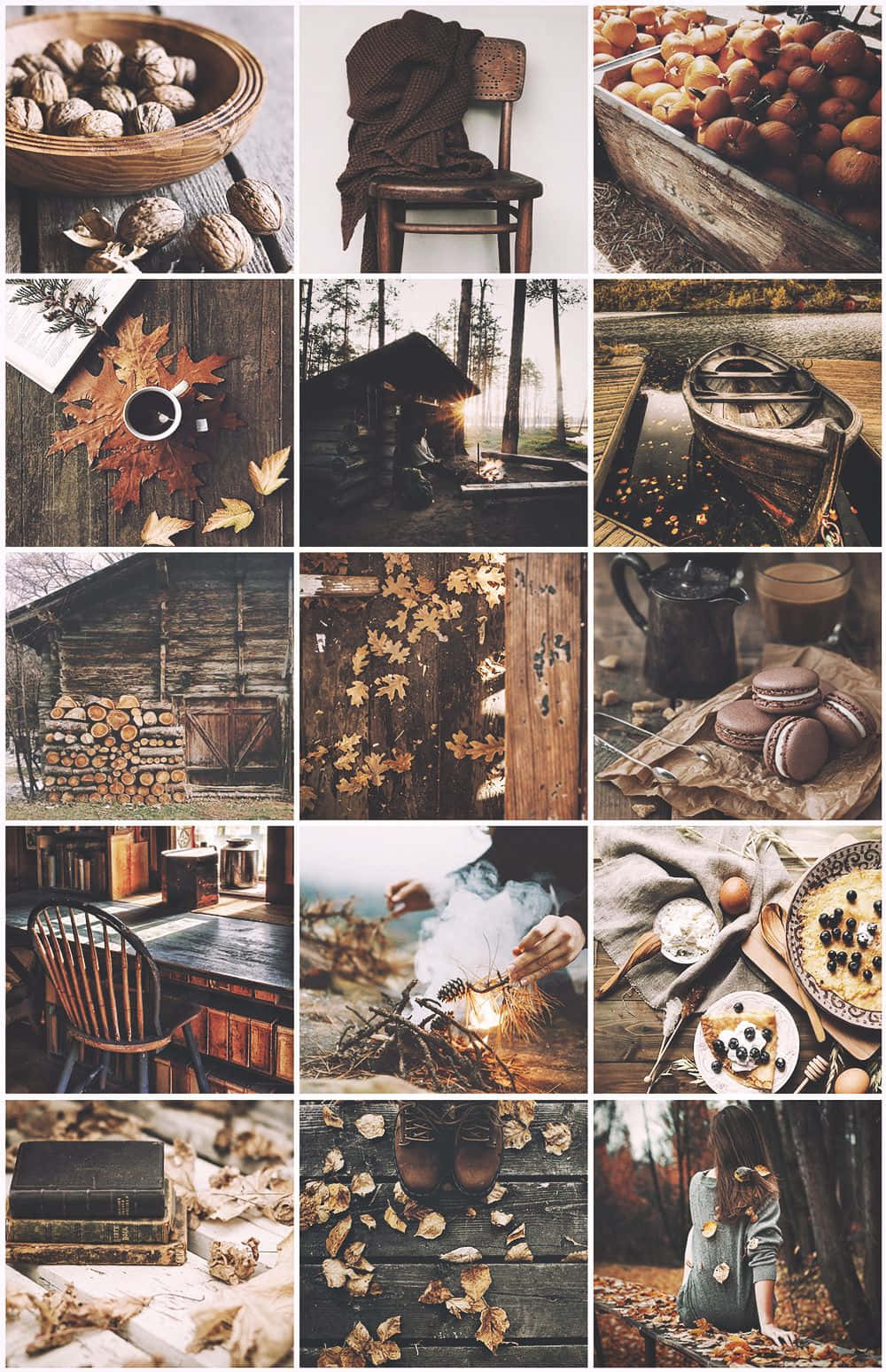 vintage photo collage, rustic autumn, walnuts, HD Phone Wallpaper