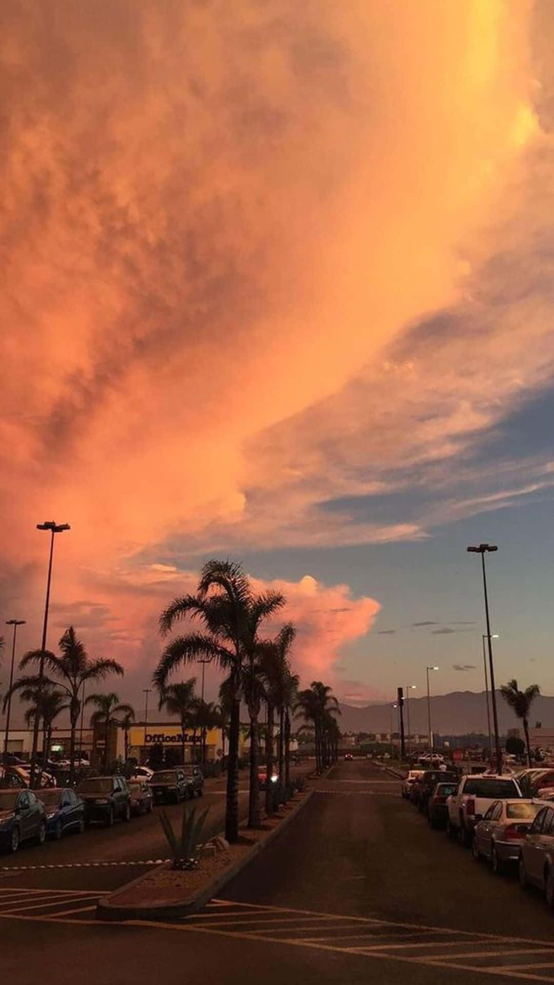orange clouds, palm trees, dramatic orange and pink sunset sky, Full HD Phone Wallpaper