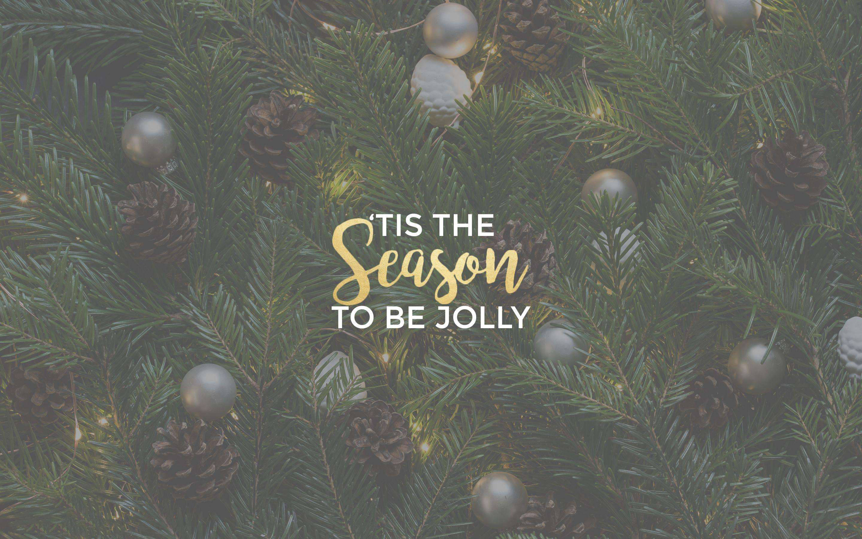 evergreen branches, pinecones, silver ornaments, 2K Desktop Wallpaper