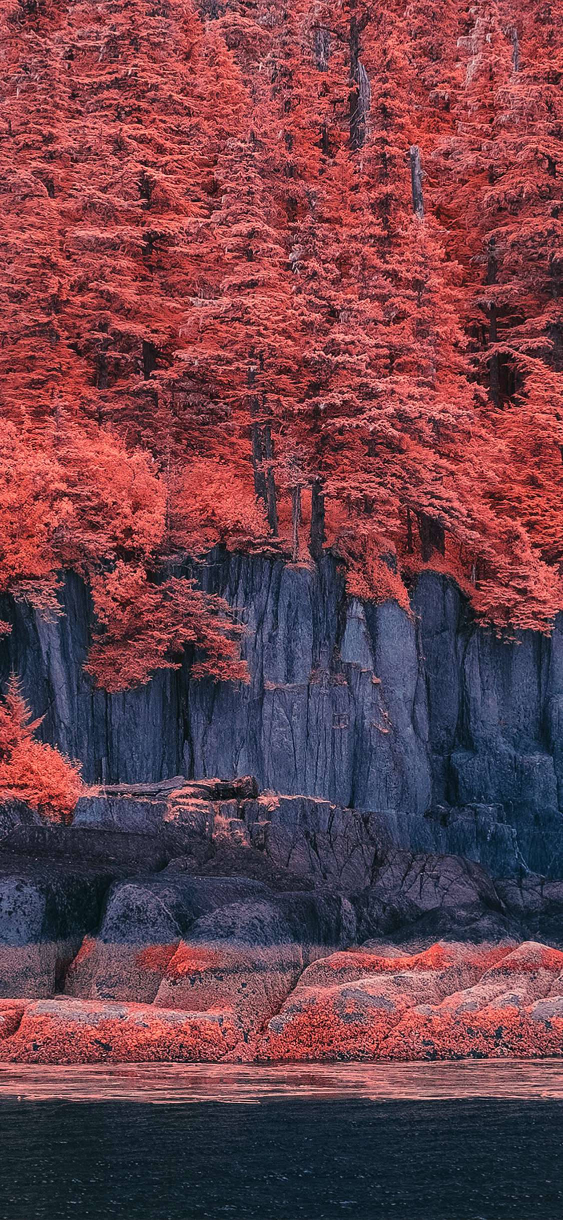 Autumn Forest Aesthetic iPhone 11, vibrant red trees, dark gray cliffs, Full HD Phone Wallpaper