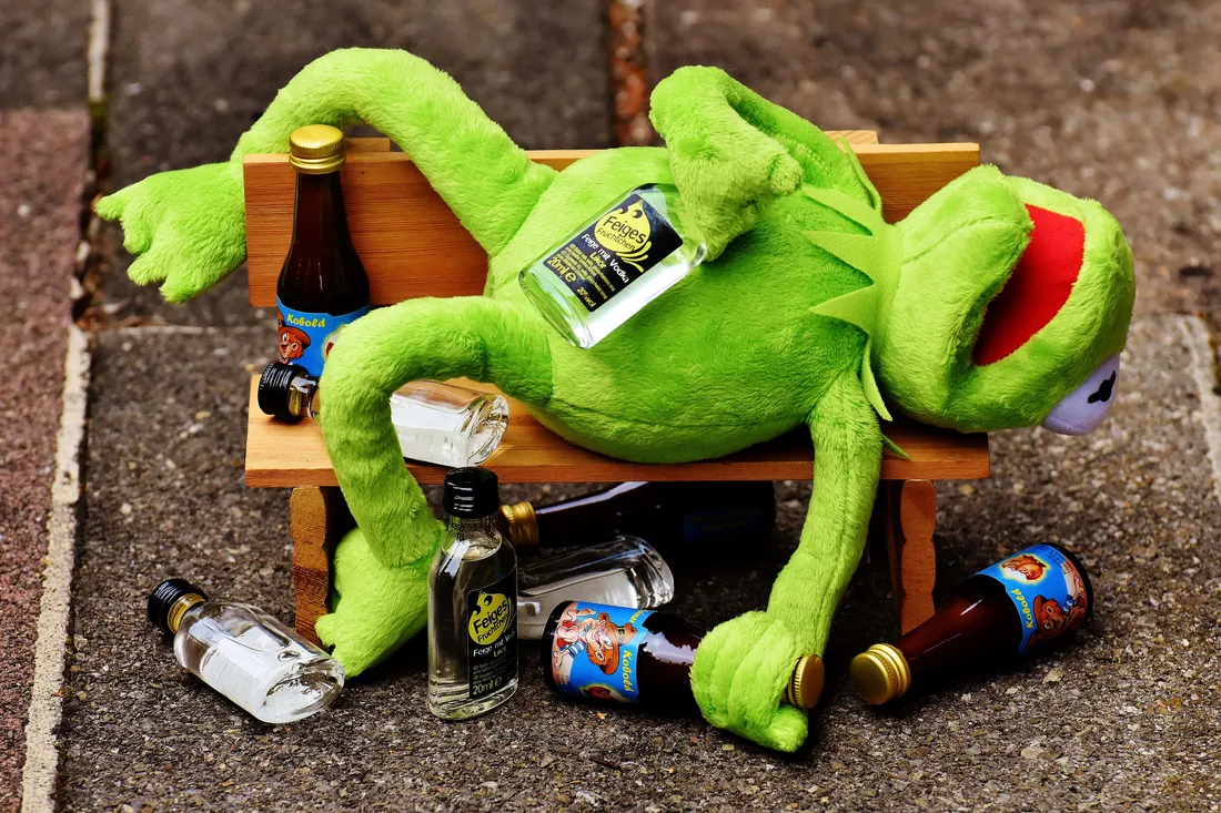 Aesthetic Kermit