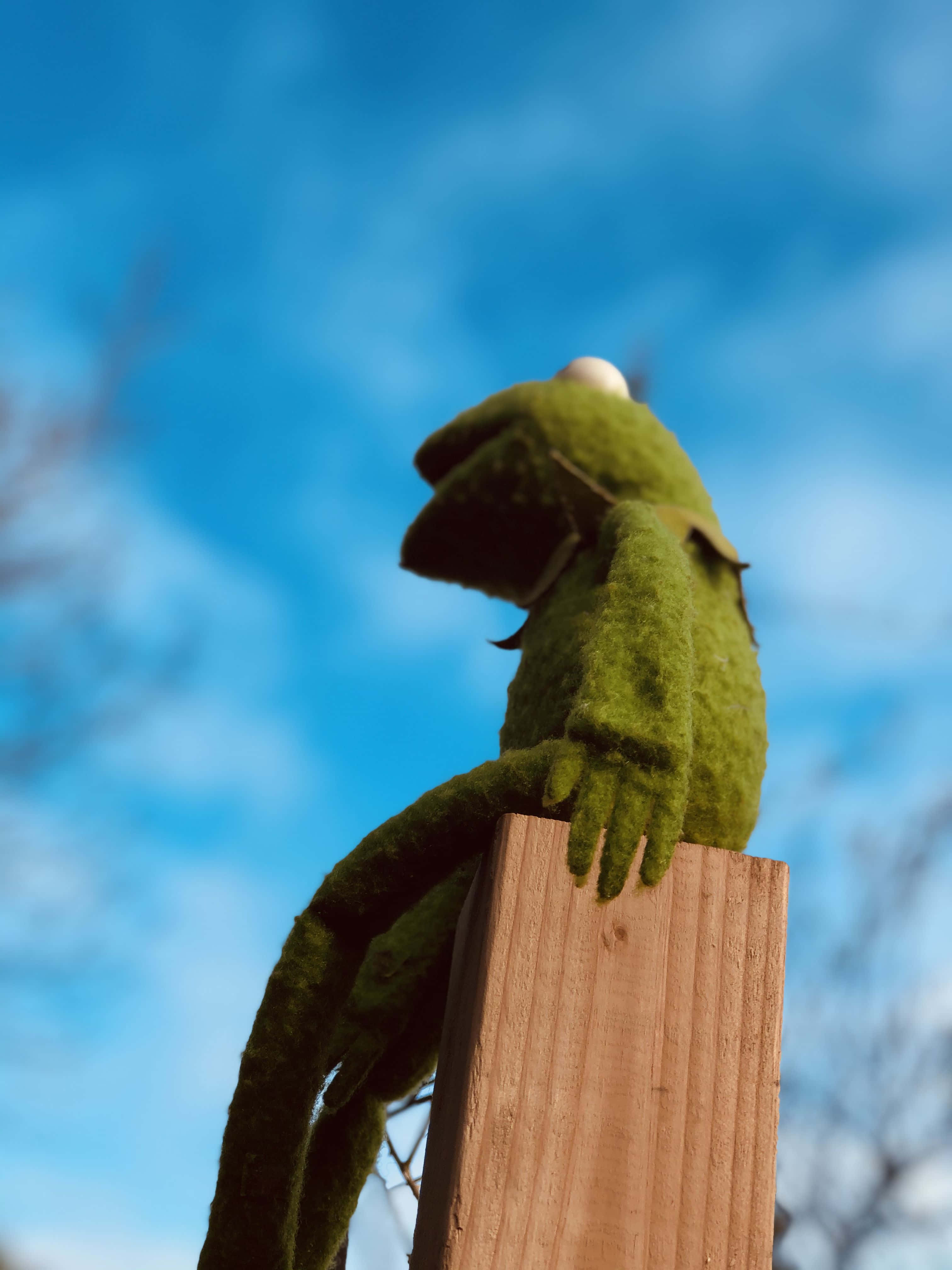 Aesthetic Kermit, green felt frog puppet, wooden post, 4K Phone Wallpaper
