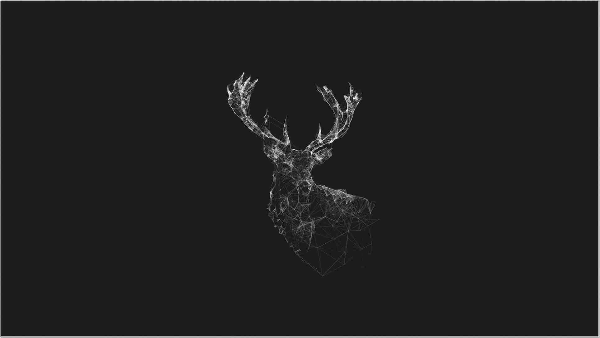 geometric wireframe deer head, antlers, solid black background, Full HD Desktop Wallpaper